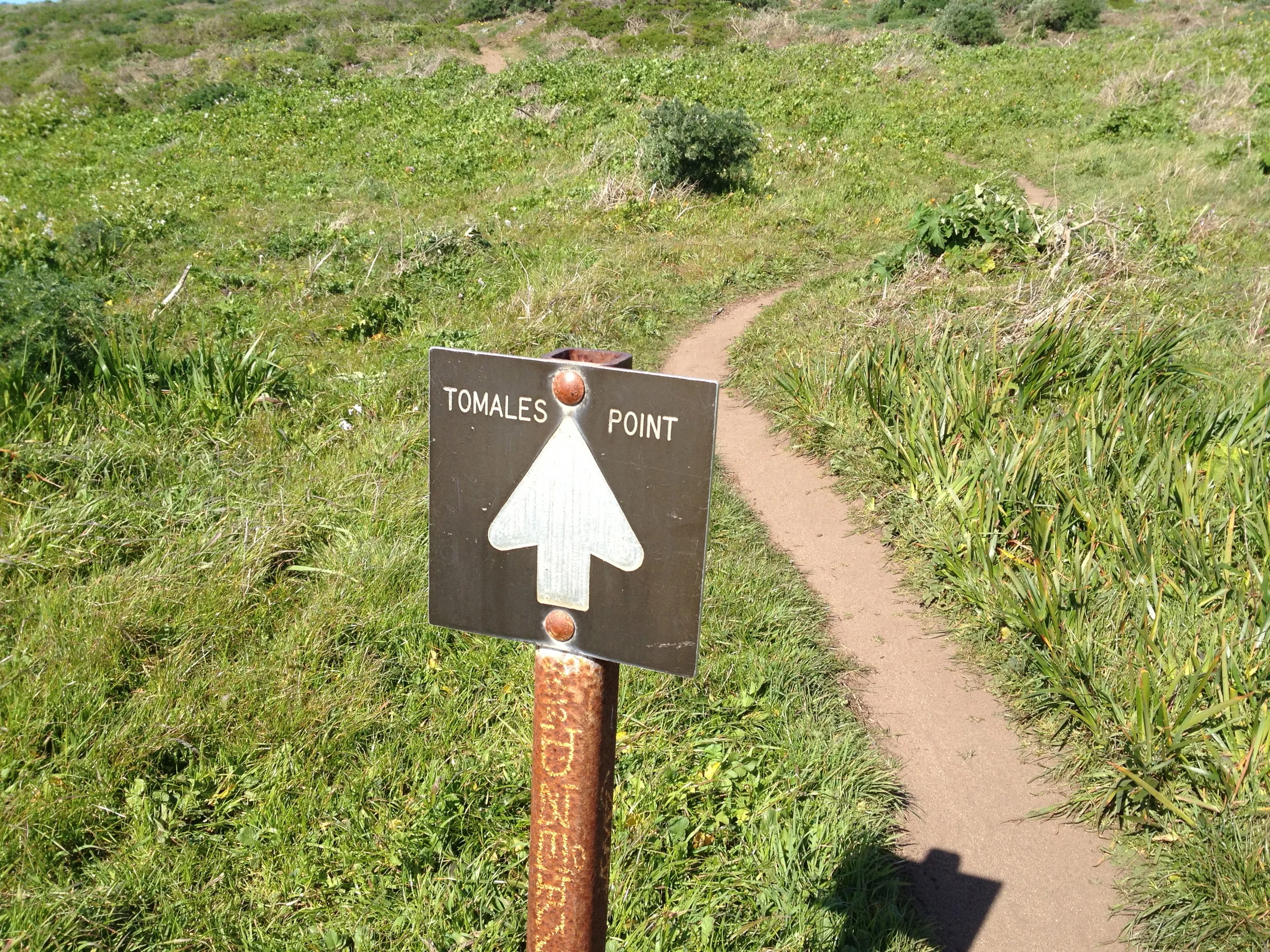 47540642-IMG_6648.jpg