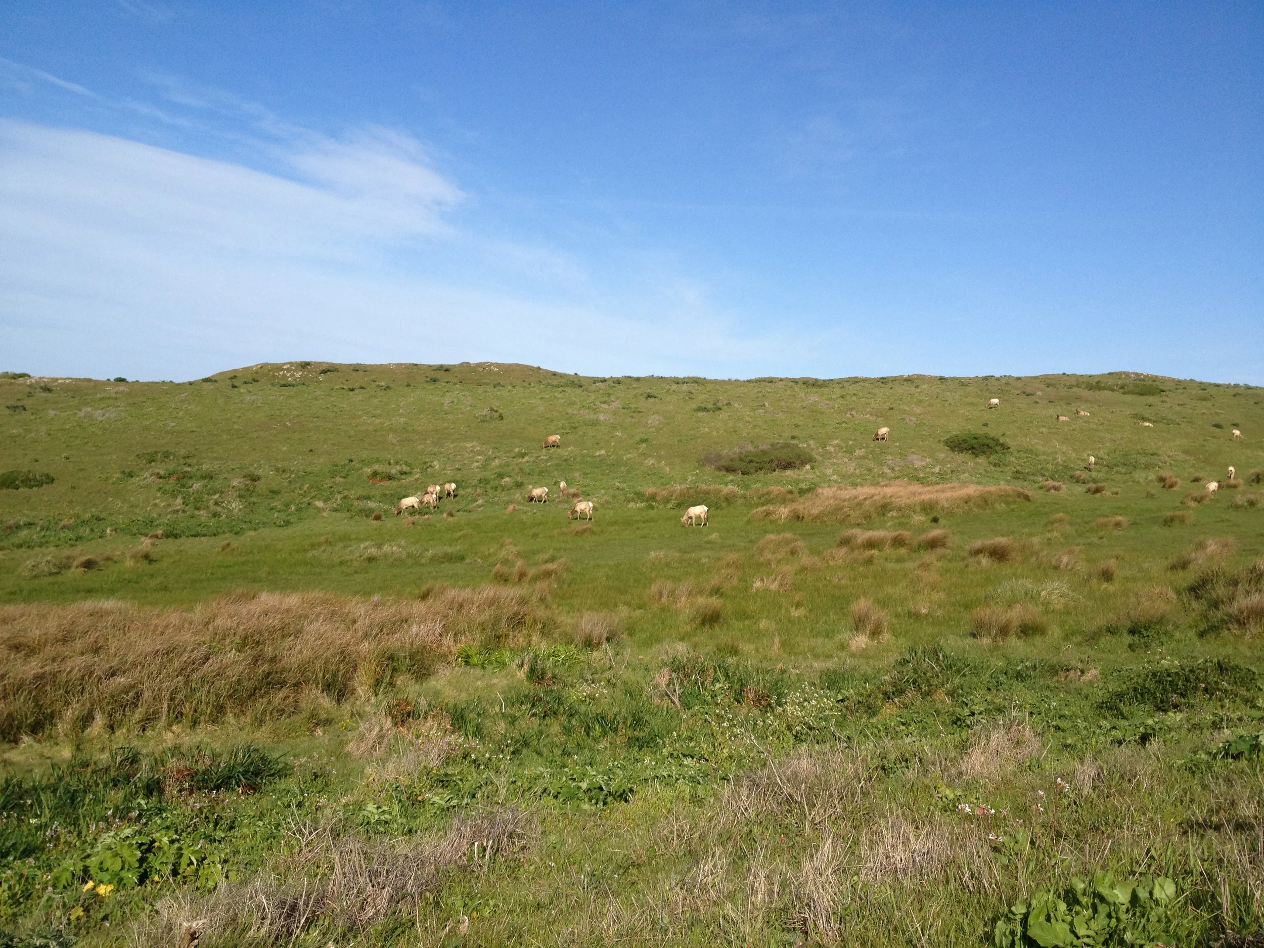 47540686-IMG_6717.jpg