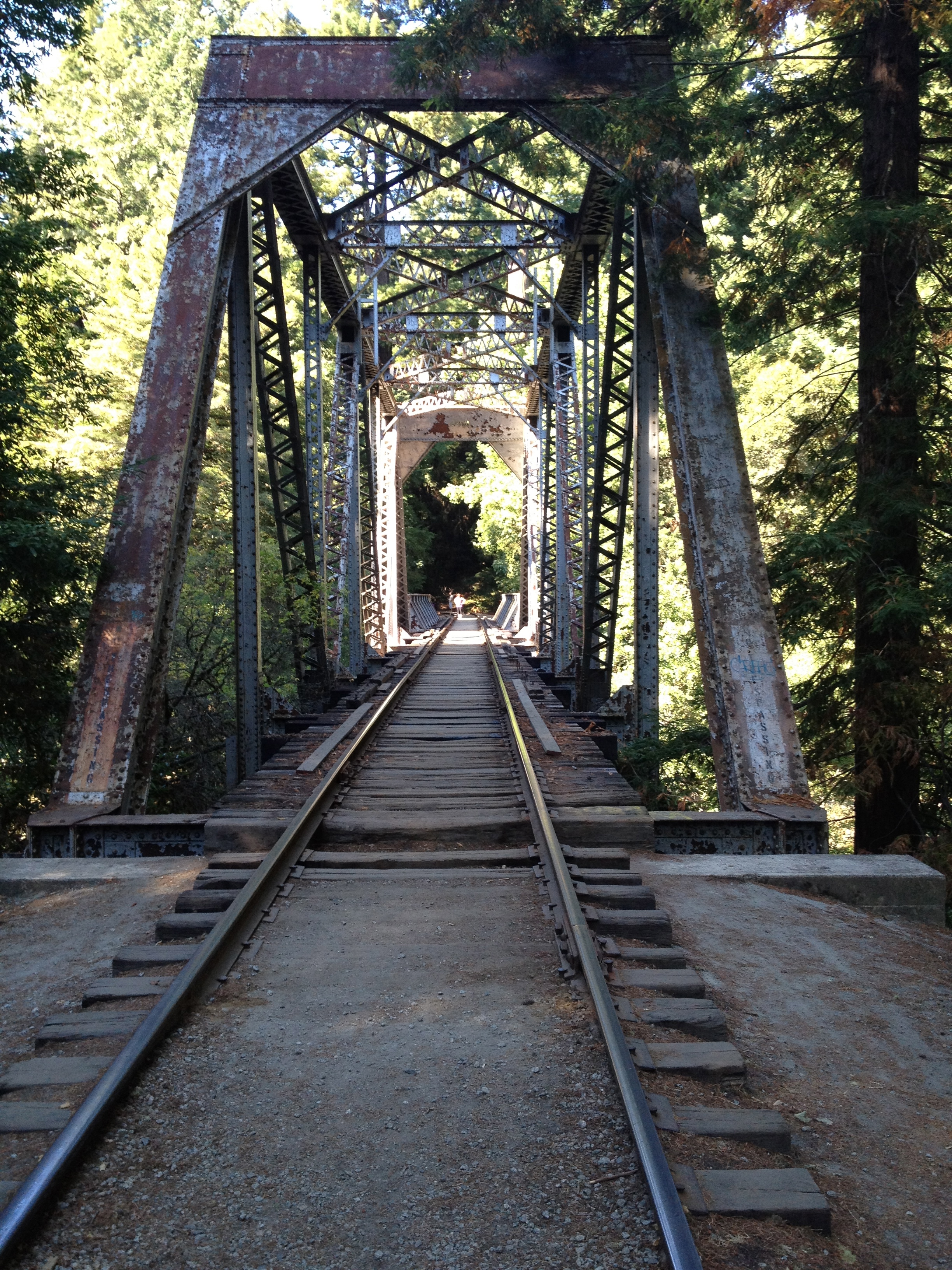 Henry Cowell Redwoods State Park Garden Of Eden Parks People