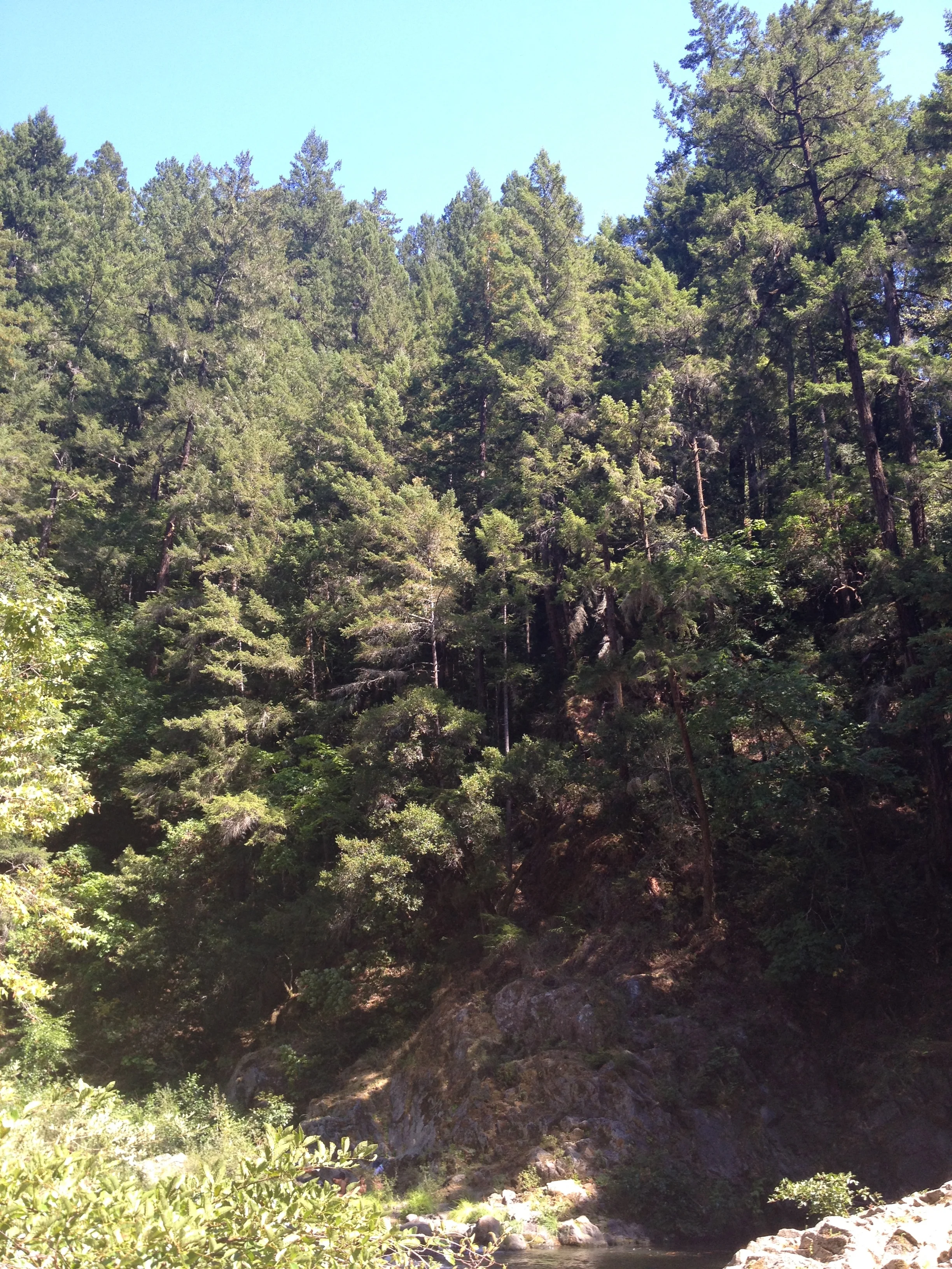44858795-IMG_5251.jpg