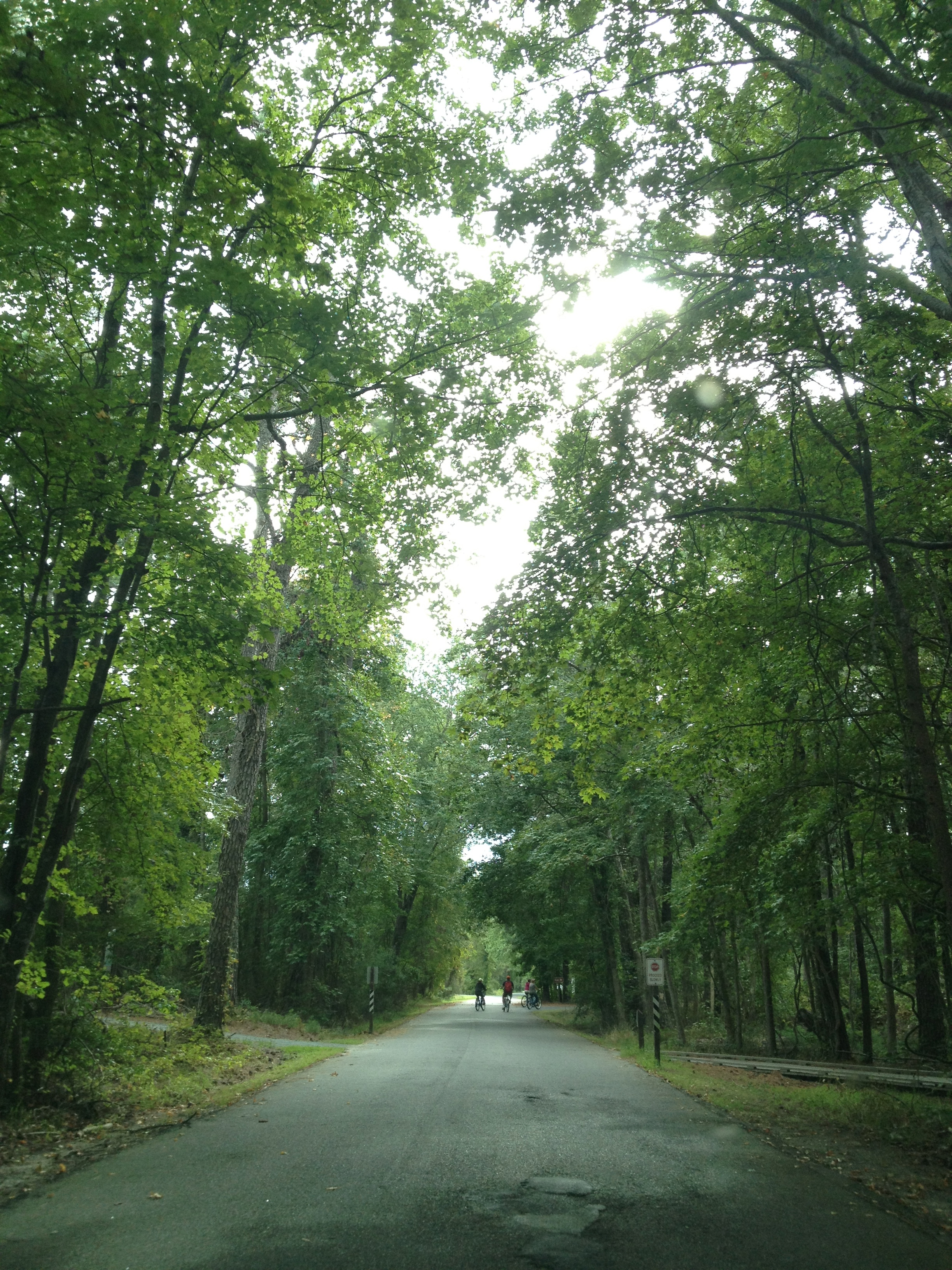 44888524-IMG_5477.jpg