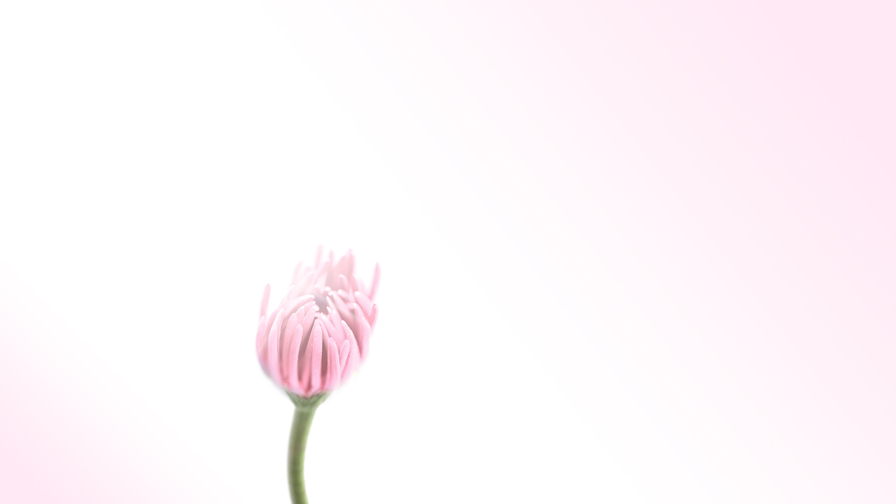 Carefree_JL01.jpg