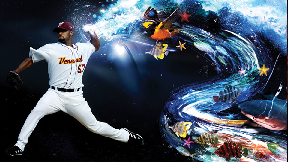 wbc_02.jpg