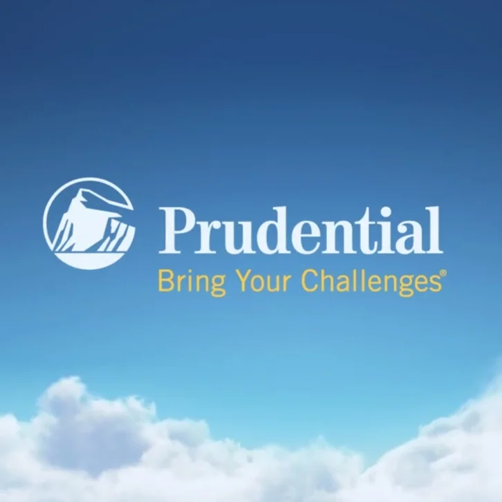 Prudential - Risk