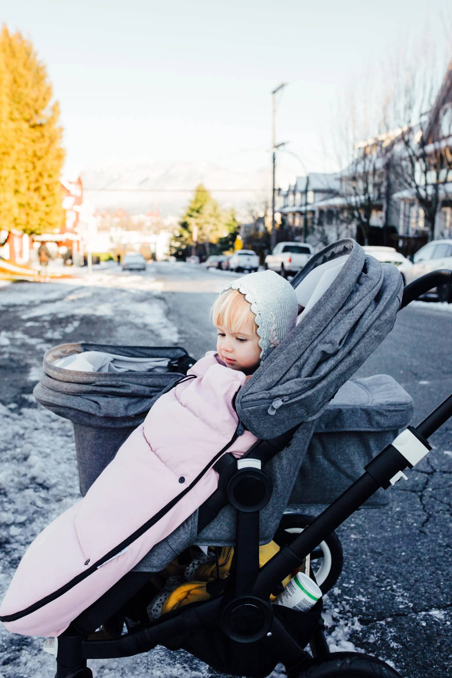 bugaboo winter