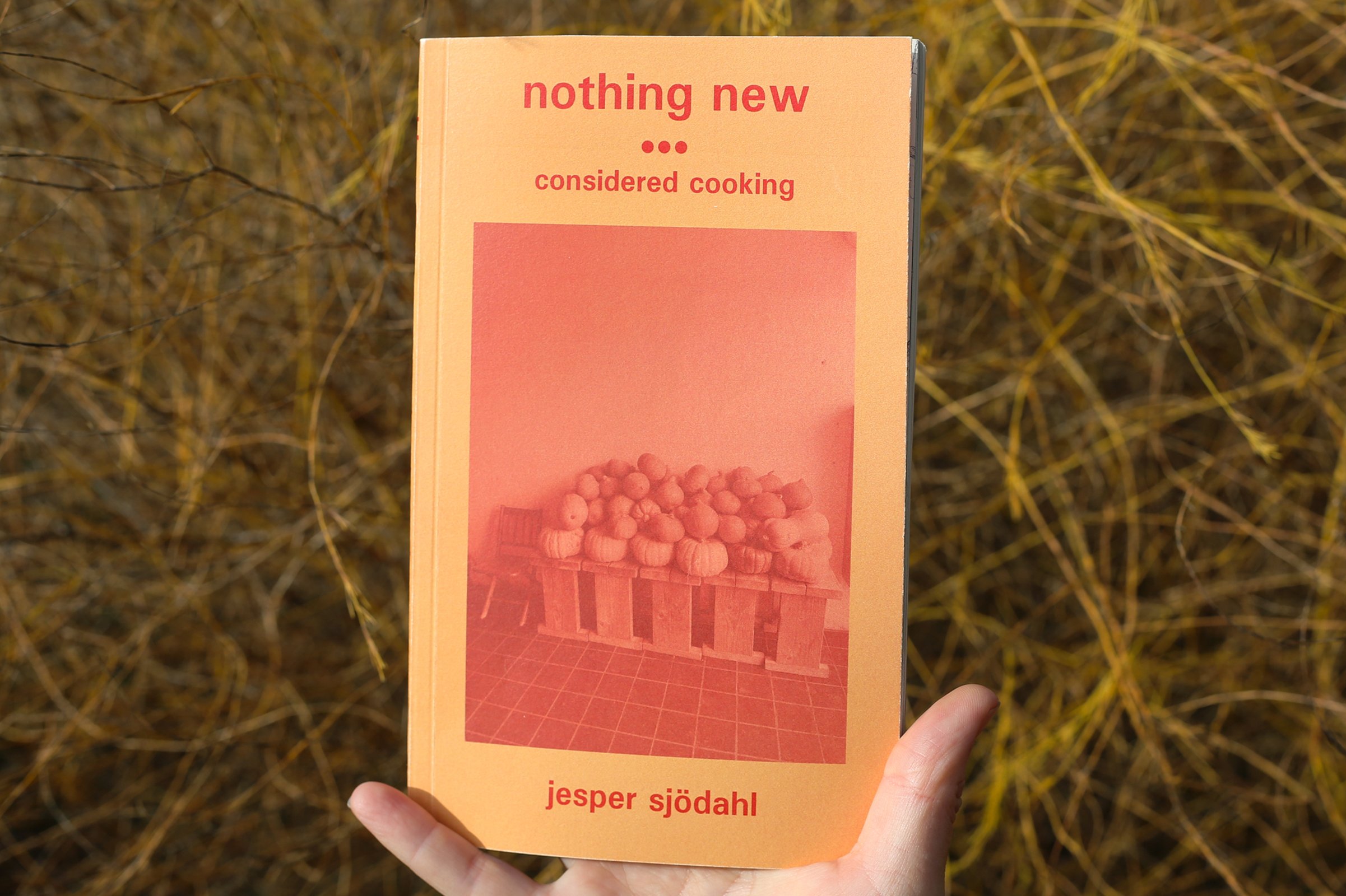 Nothing New cover edited cropped landscape.jpg