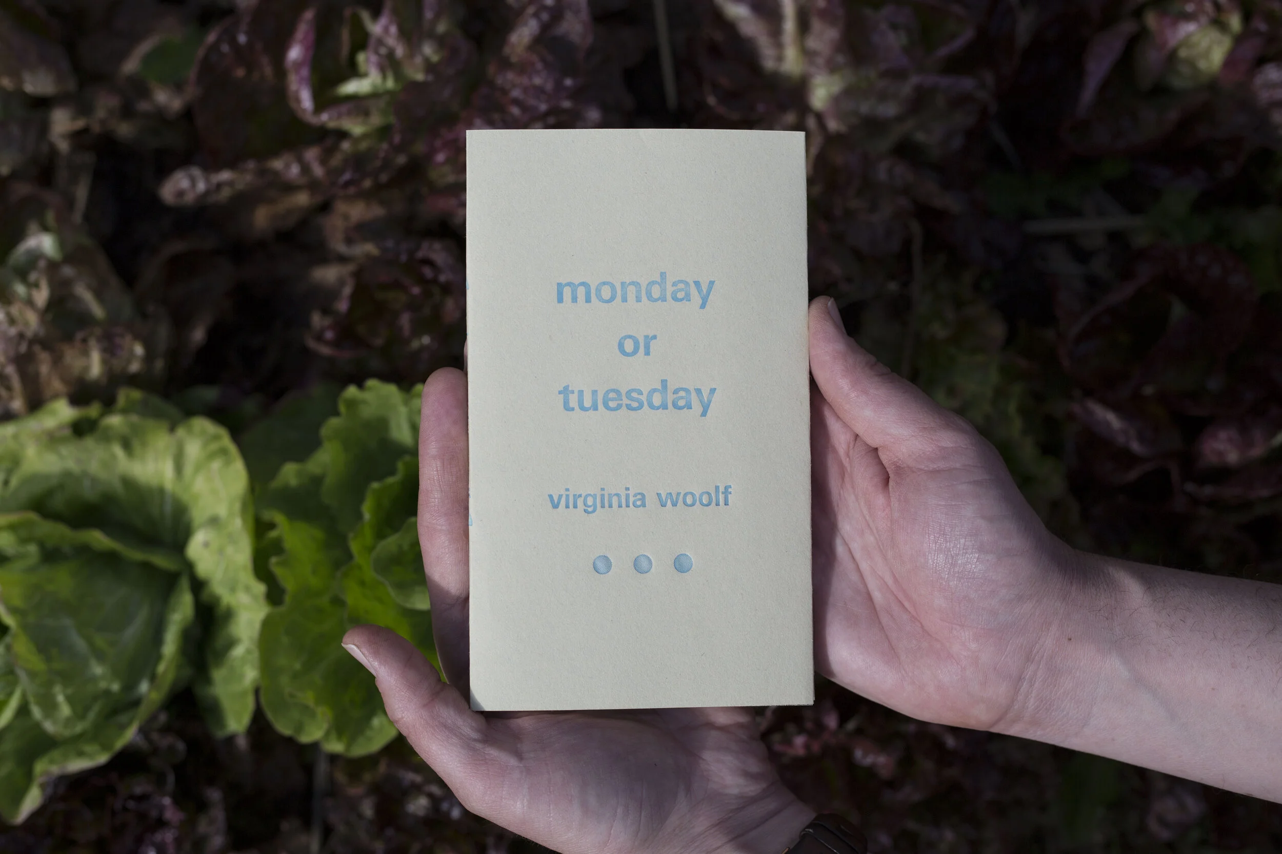 Monday or Tuesday cover.JPG