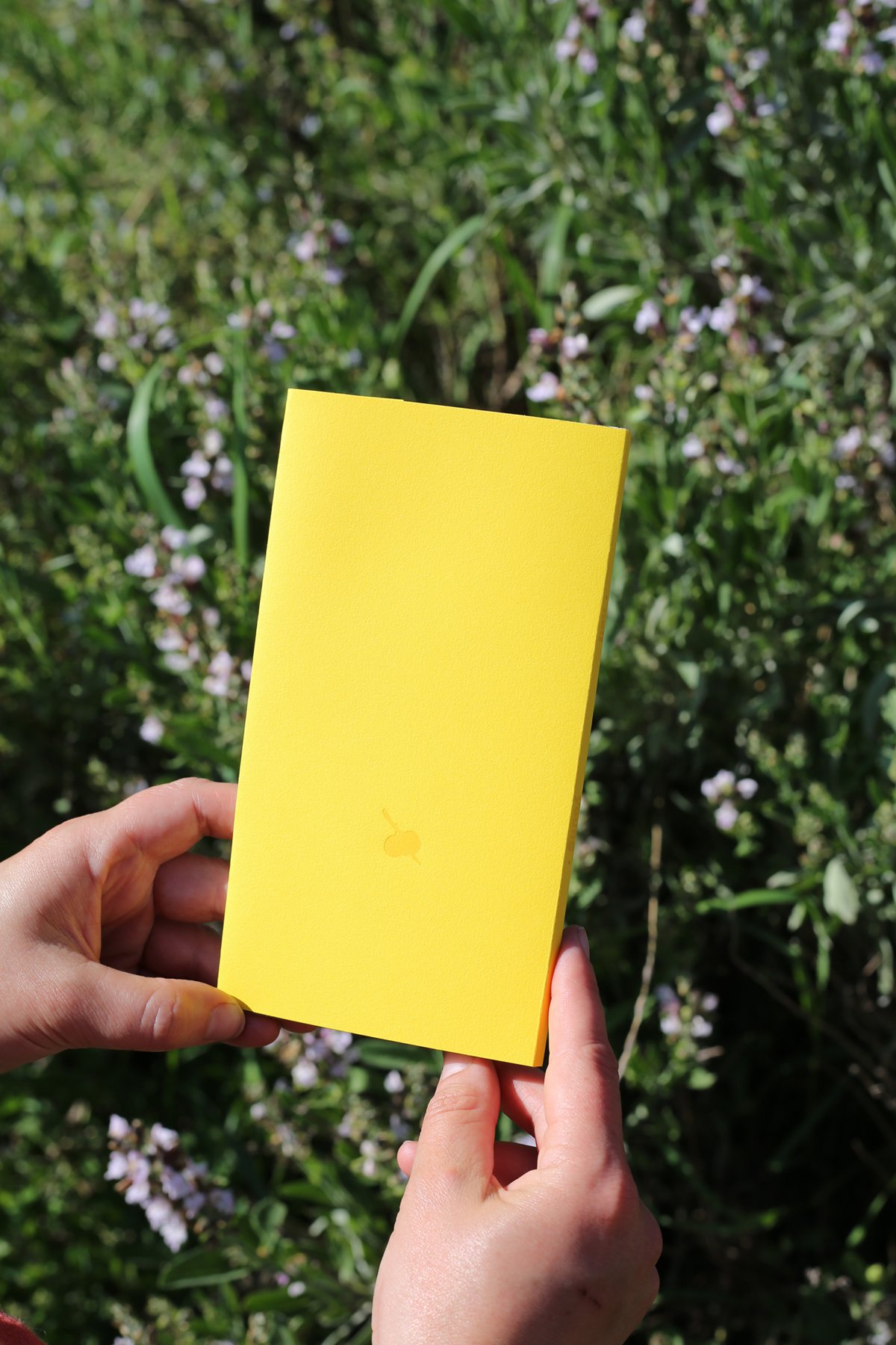 back cover verticle.JPG