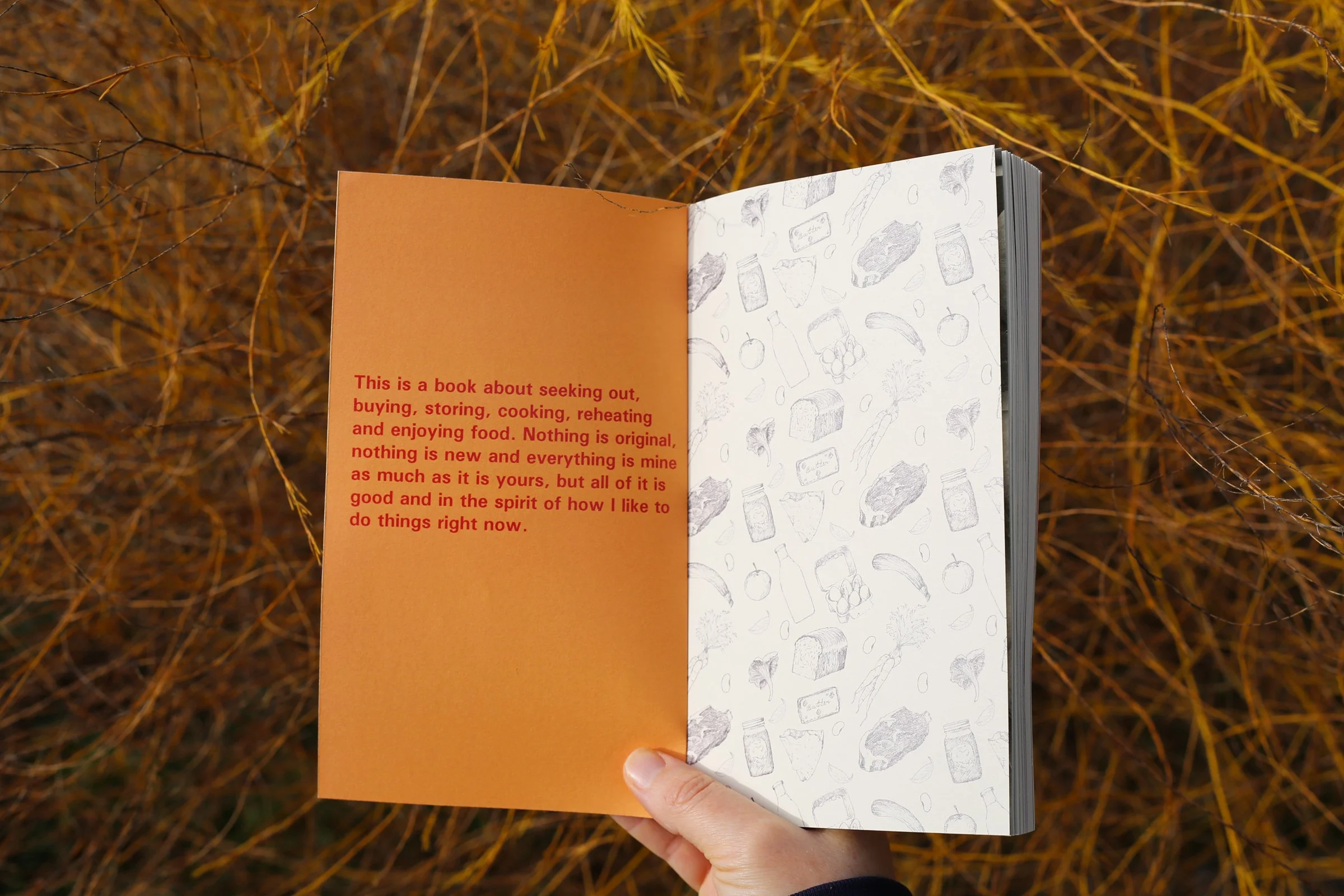 Inside cover landscape edited.jpg