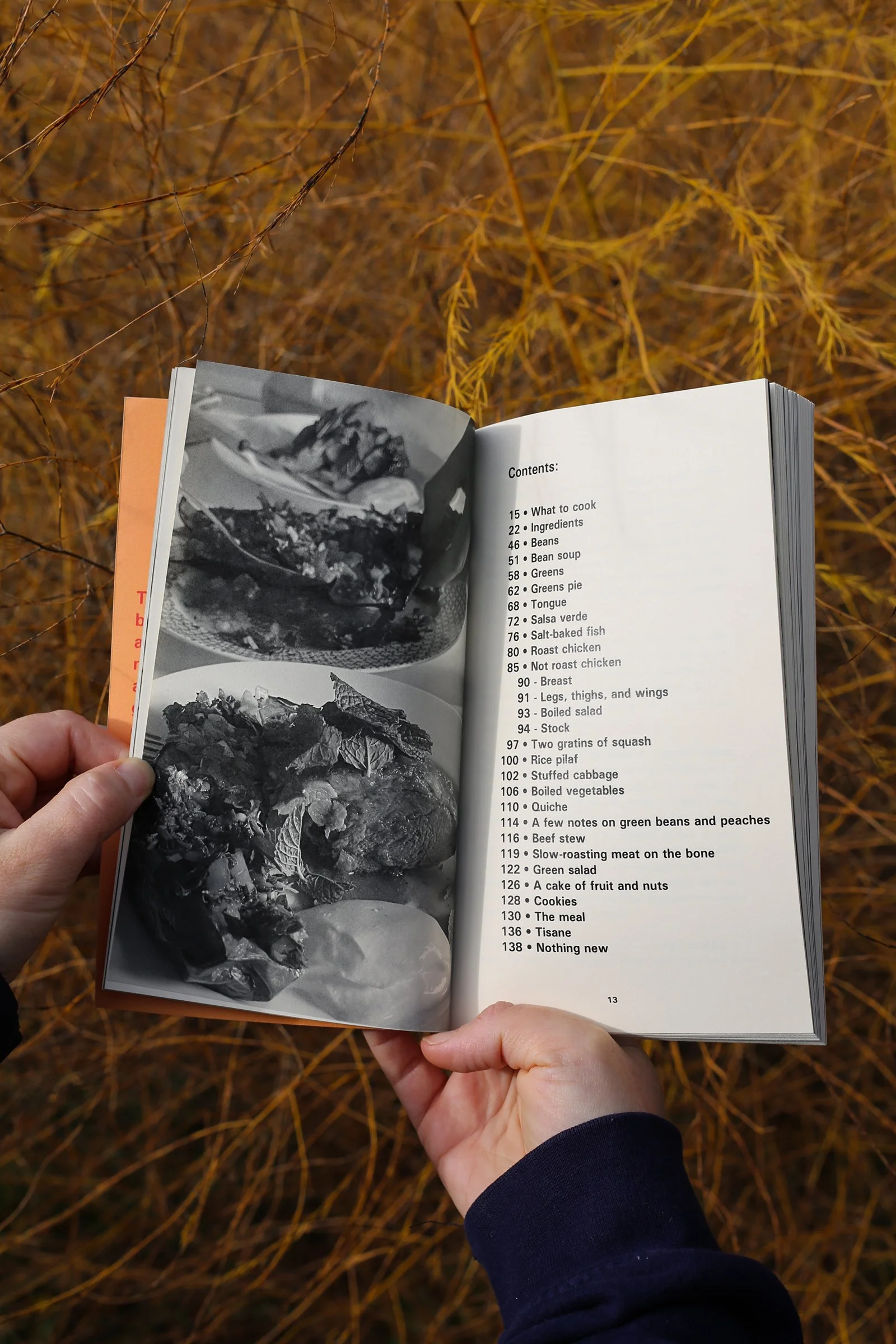 Contents portrait edited.jpg