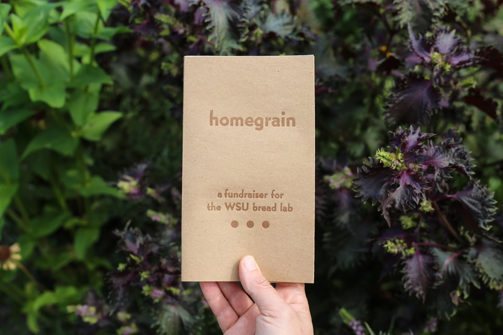 Homegrain front landscape 2 BEST.jpg
