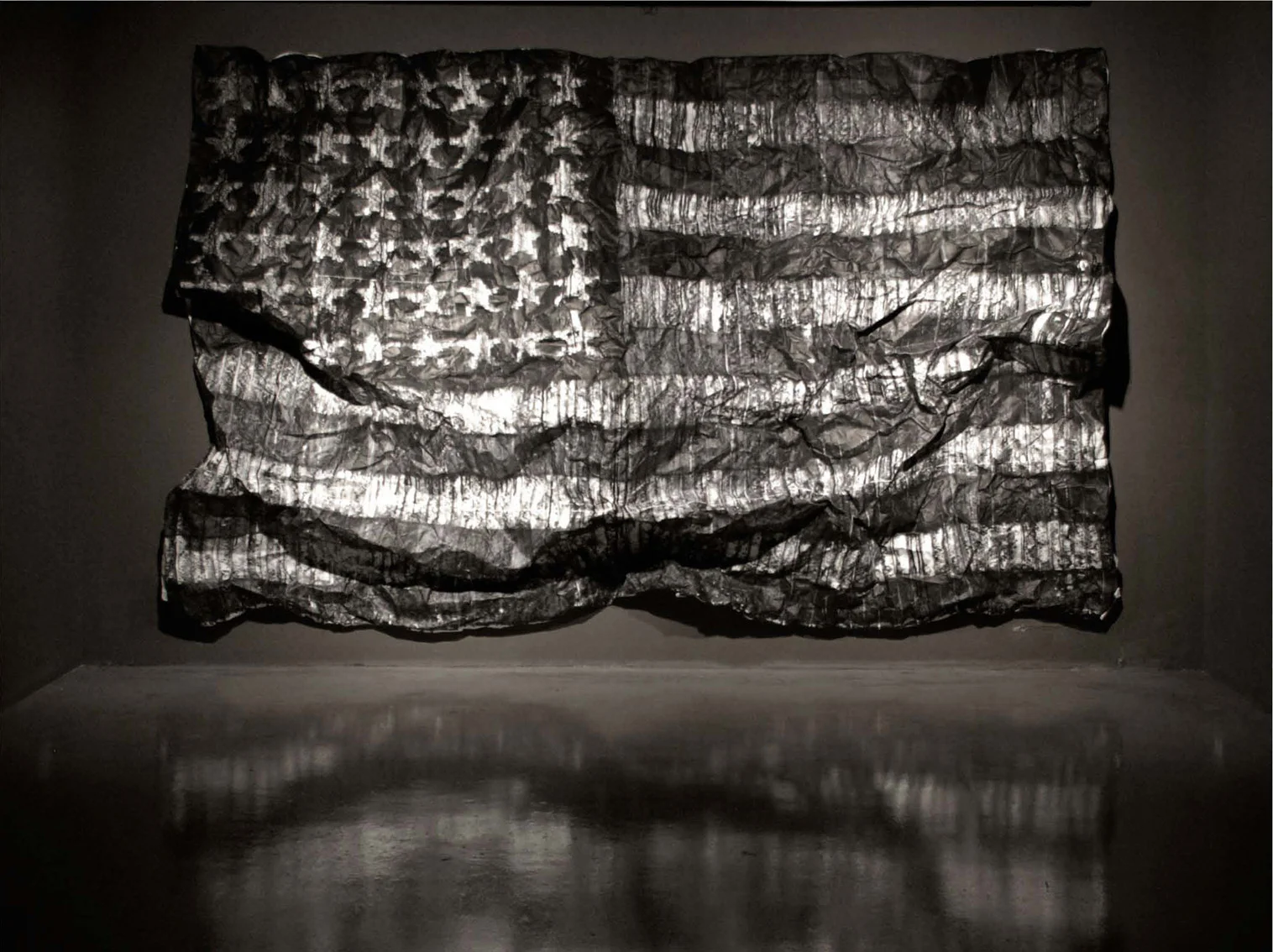 Serie estrujados (Flag Jasper Johns - L), 2007. Felt-tip pen on indestructible paper, trash bag and carton box. 220 X 340 CM. Serie estrujados (Bandera Jasper Johns - L), 2007. Rotulador sobre papel irrmpible, bolsa de basura y caja de cartón. 220 X 340 CM.