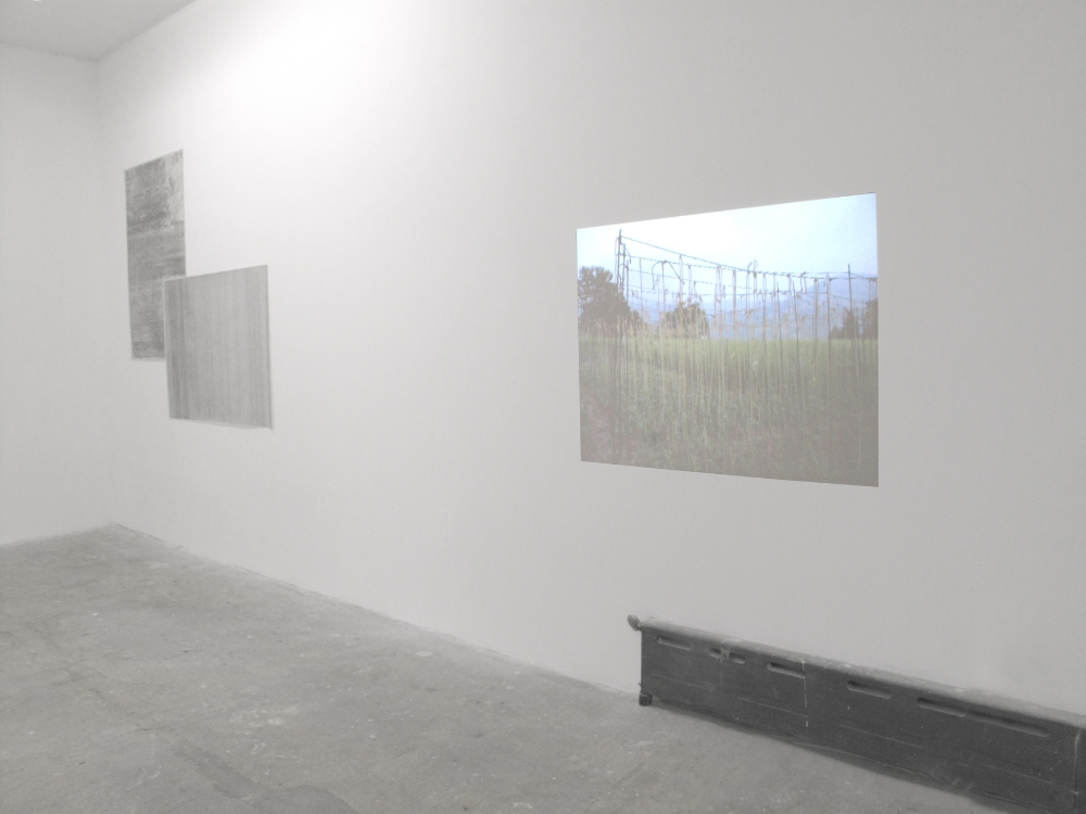 Installation image of Retry the life experiment in the communal, Cindy Rucker Gallery, New York. 2015.