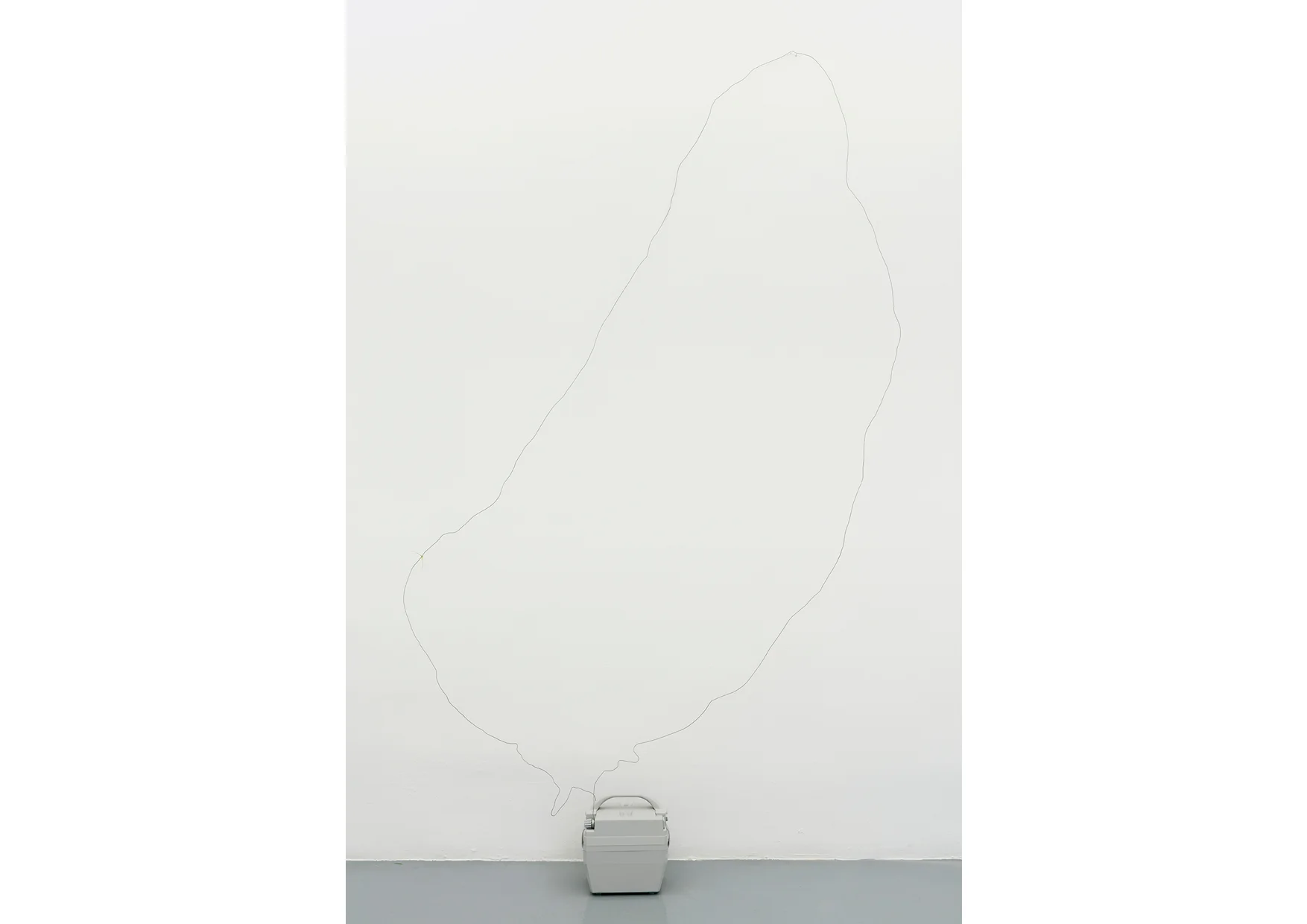 Sin título , 2017. Alambre, pastor eléctrico, hierba. Medidas variables. Sin título , 2017. Electric fence, blade. Variable dimensions.