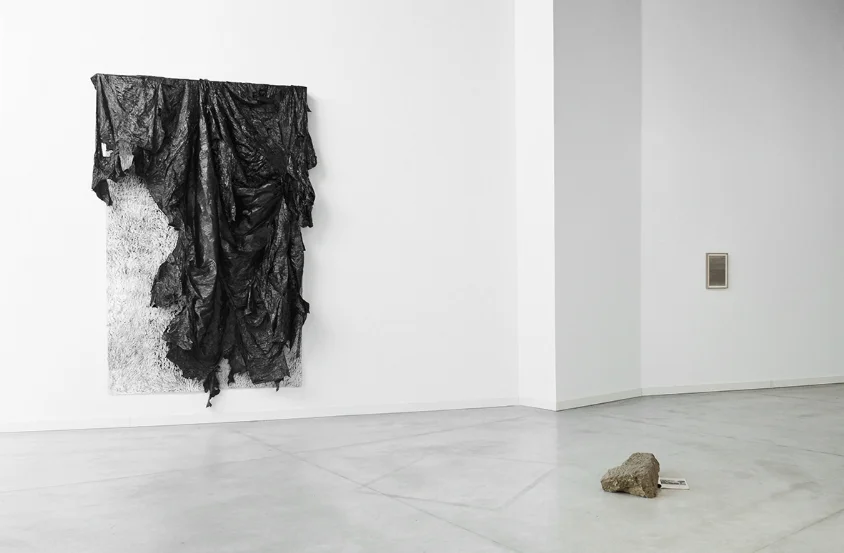 Vista de la exposición Orden natural. Centro de Arte Alcobendas, Madrid. Exhibition view Orden natural. Centro de Arte Alcobendas, Madrid.