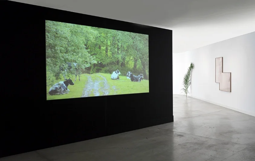 Doblar la tierra , 2014. Vídeo 7´ 10”. Doblar la tierra , 2014, Video 7´ 10”
