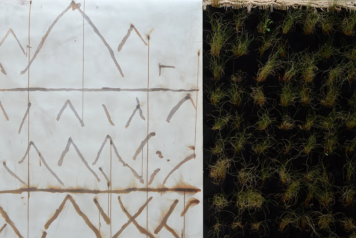Sobre cómo puede flotar una uva en el océano #9 , 2018. Alfombra Azilal, plantas de esparto, nitrato de plata sobre papel y croma, 200 x 250 x 60 cm. Sobre cómo puede flotar una uva en el océano #9 , 2018. Azilal carpet, esparto plants, silver nitrate on paper, chroma, photographic background support, 200 x 250 x 60 cm.