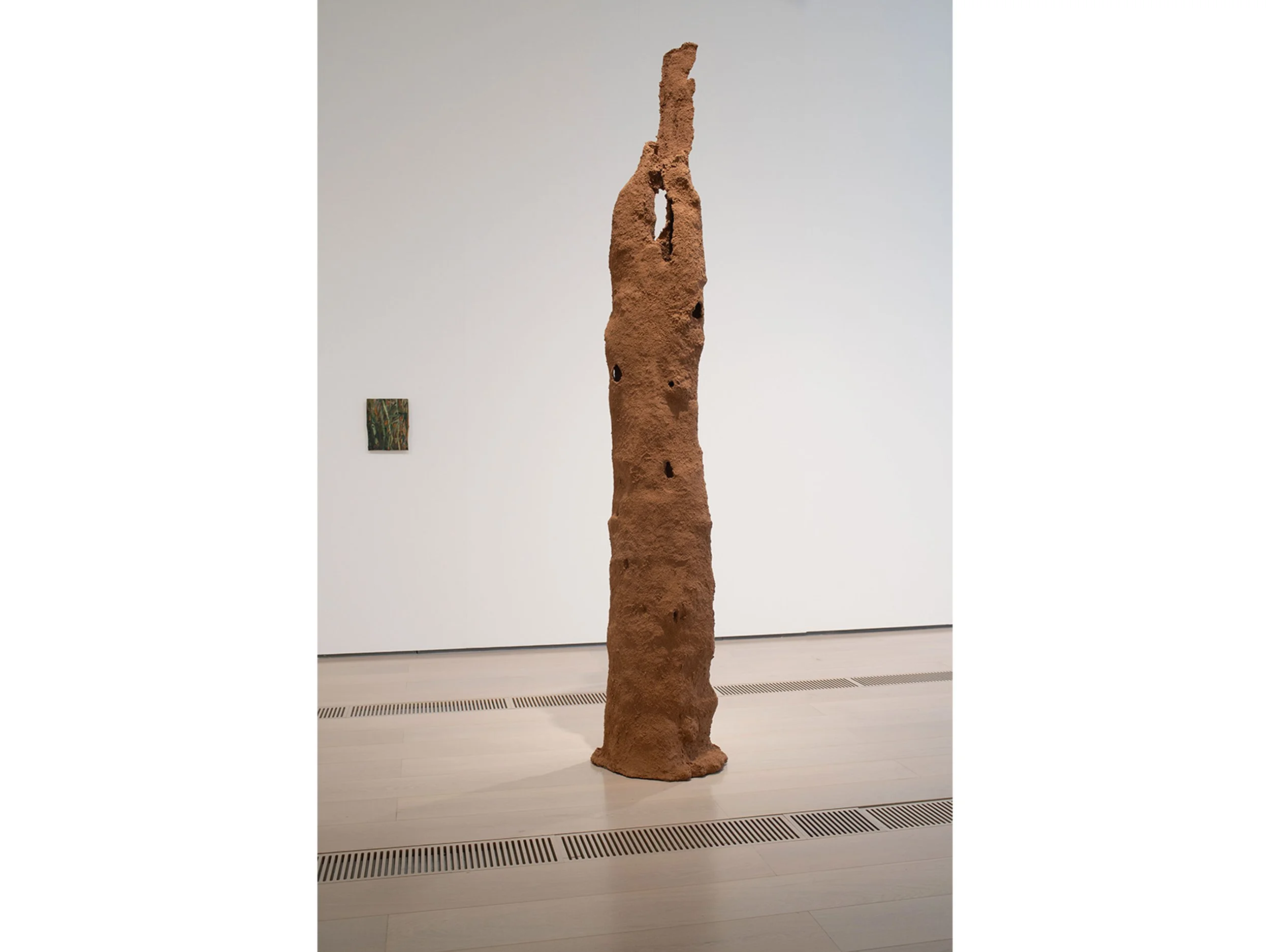 Compartimentación de daños/Disfunción en los árboles, 2025.Virutas de madera, yeso. 320 × 60 × 40 cm. Imagen general de la exposición Enredos II: Nuno da Luz. Centro Botín, Santander. Compartimentación de daños/Disfunción en los árboles, 2025