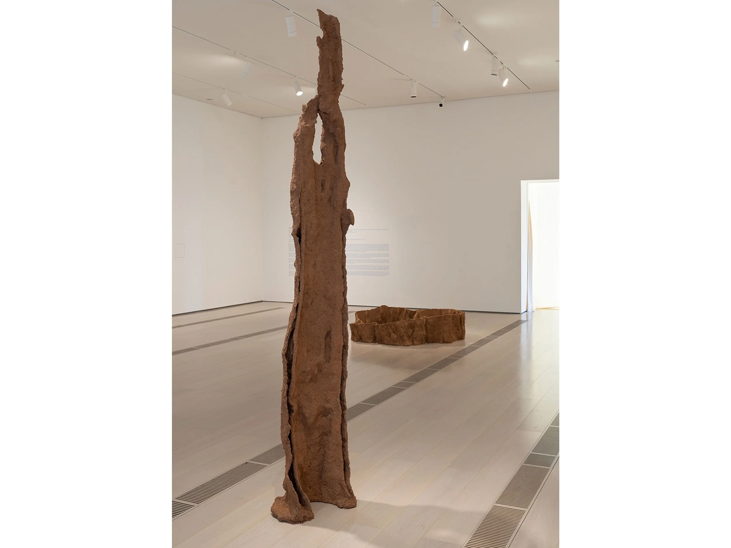 Compartimentación de daños/Disfunción en los árboles, 2025.Virutas de madera, yeso. 320 × 60 × 40 cm. Imagen general de la exposición Enredos II: Nuno da Luz. Centro Botín, Santander. Compartimentación de daños/Disfunción en los árboles, 2025