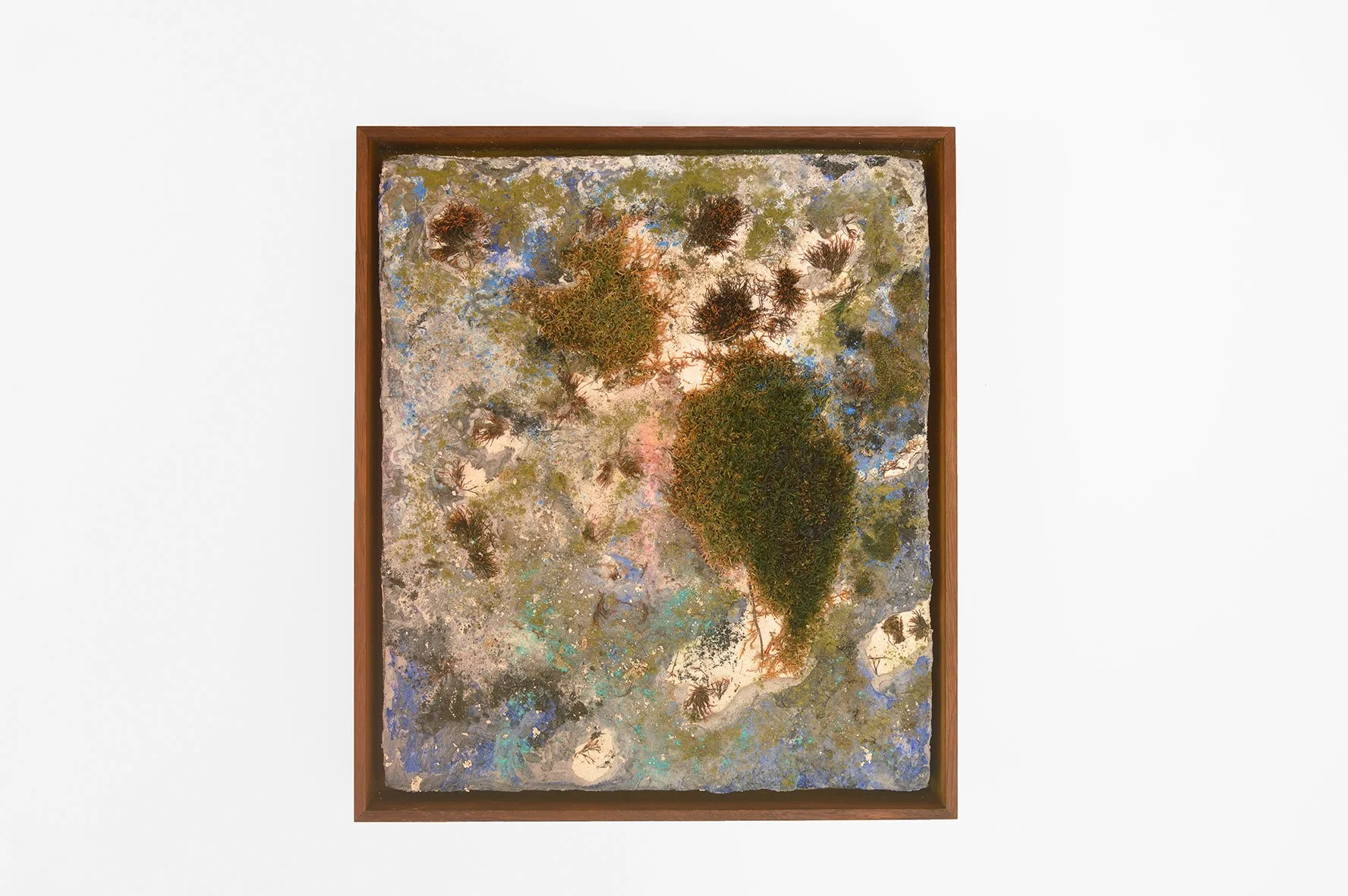 Horizontal Ikebana #4 , 2022. Pintura al fresco, musgo, 65 × 50 cm. Horizontal Ikebana #4 , 2022. Fresco painting, moss, 65 × 50 cm.