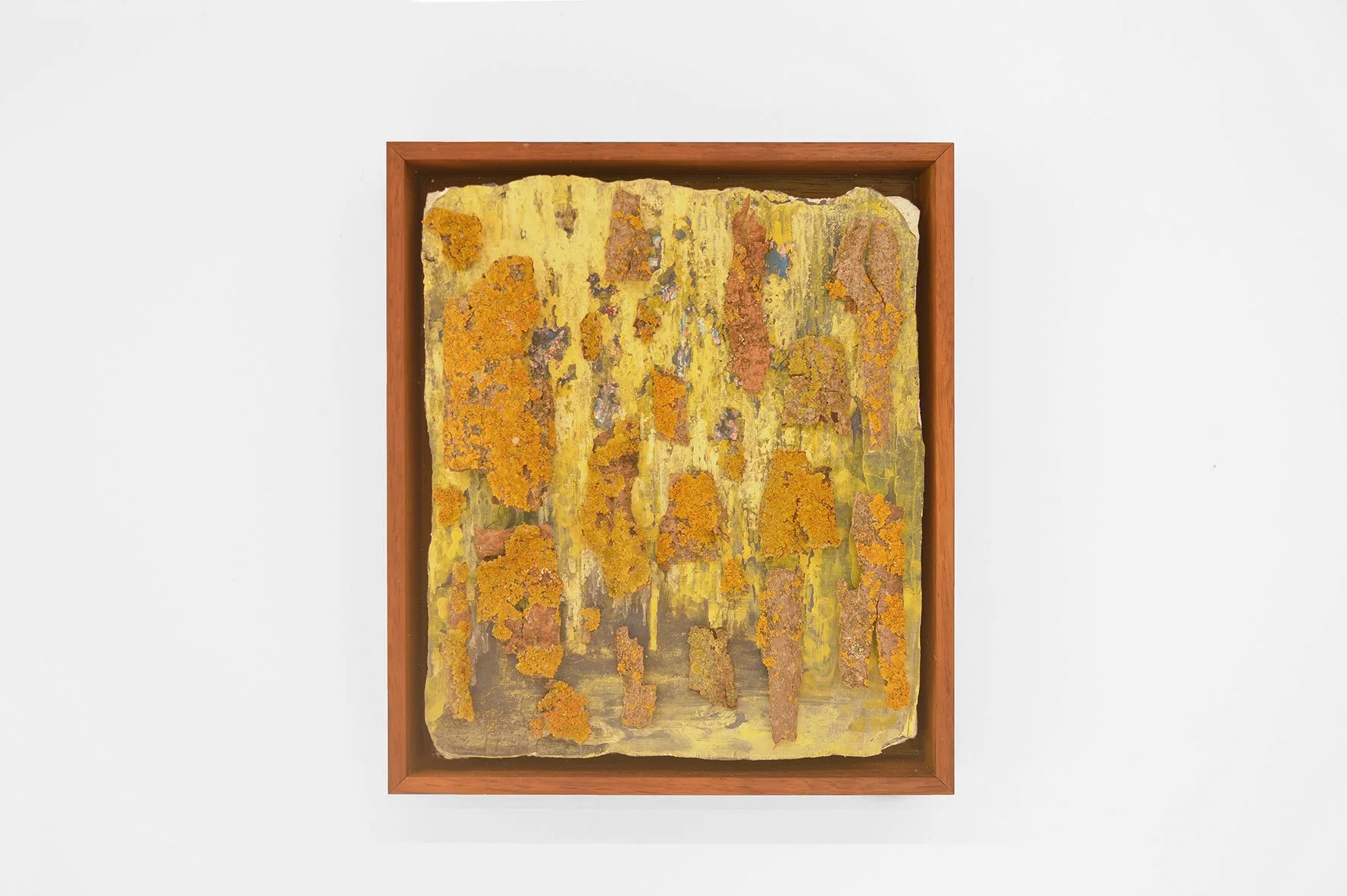 Horizontal Ikebana #3 , 2022. Pintura al fresco, corteza de madera, liquen, 30 × 24 cm. Horizontal Ikebana #3 , 2022. Fresco painting, tree bark, lichen, 30 × 24 cm.