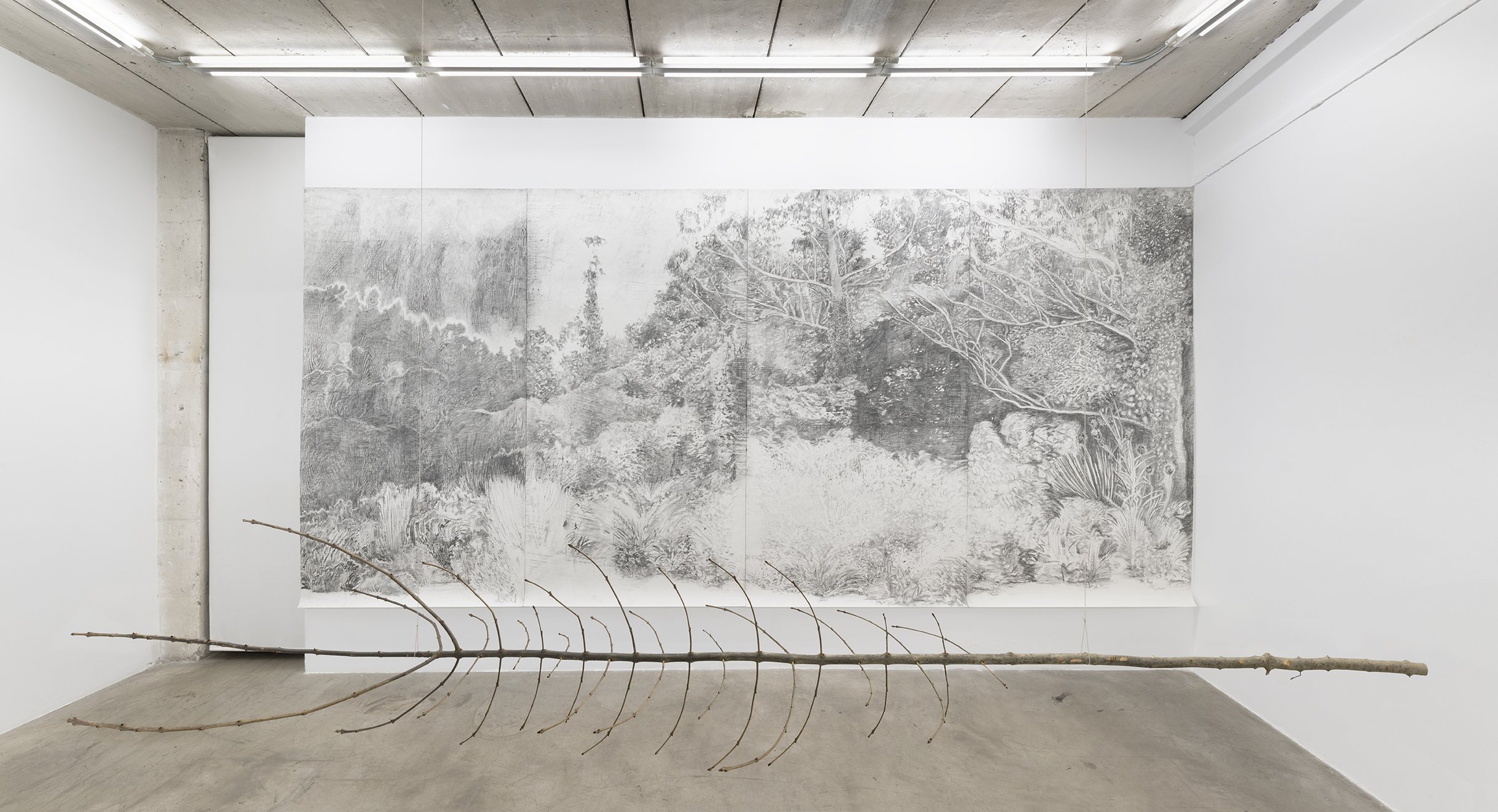   Sombra natural,  2026. Dibujo graﬁto y frottage sobre papel 300 g, fresno 270 x 570 cm.   Sombra natural,    2026. Drawing graphite and frottage on 300 g paper, ash 270 x 570 cm.  