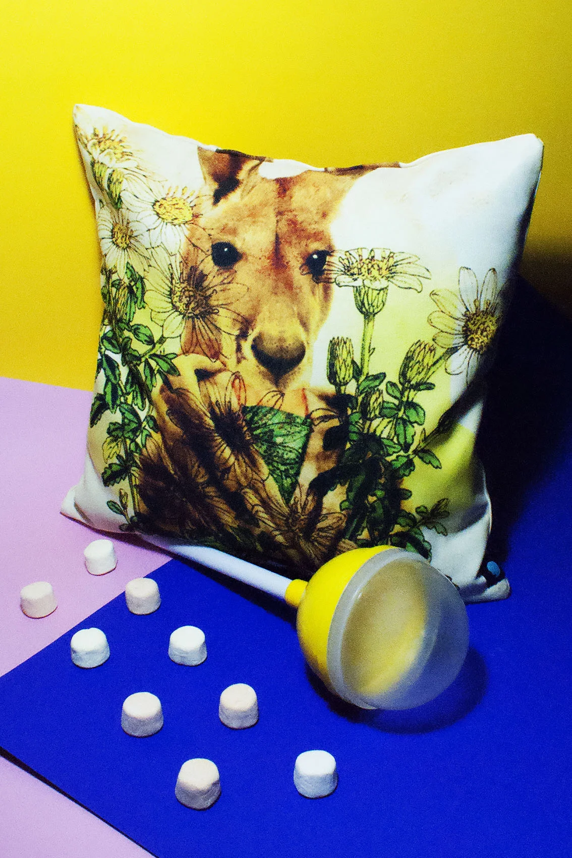 Designani_cushion 7.jpg