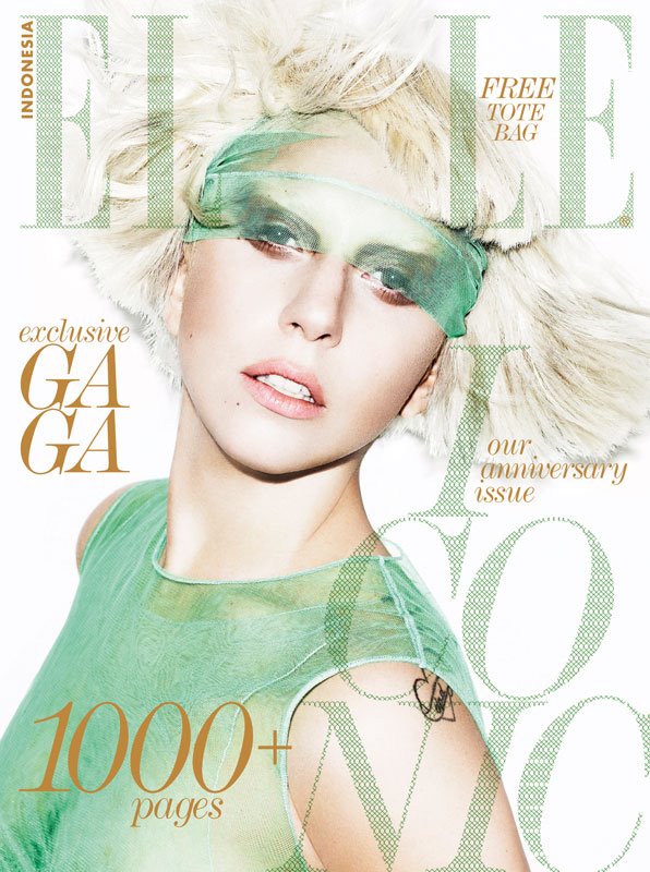 designanidotcom_elle1.jpeg