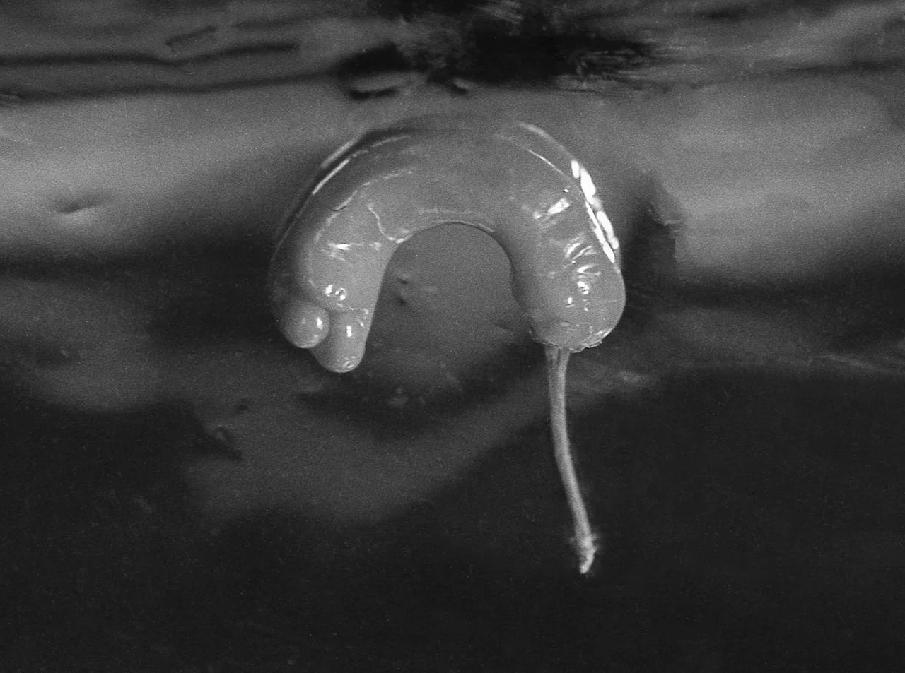 Shot on my handmade 4x5 camera.