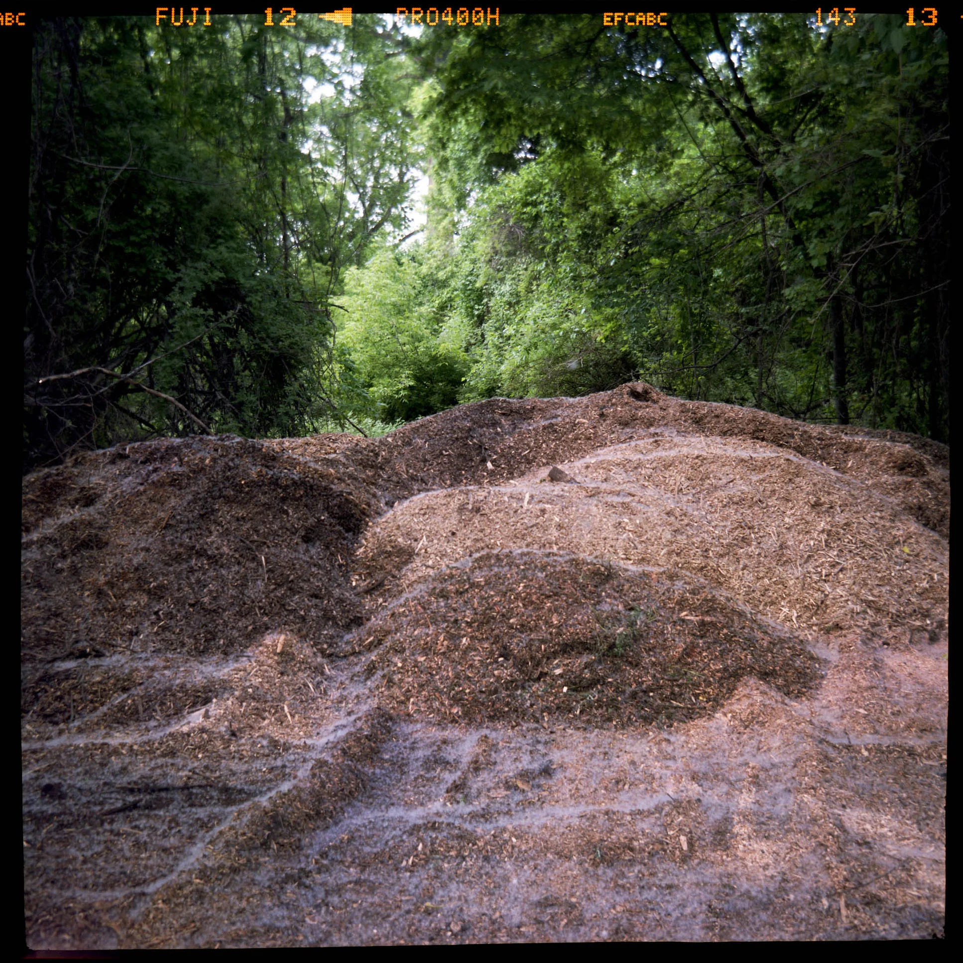 Lucus Landers | Landers B66 brass Camera | Handmade Camera | Fuji Pro 400h | Lucas Landers