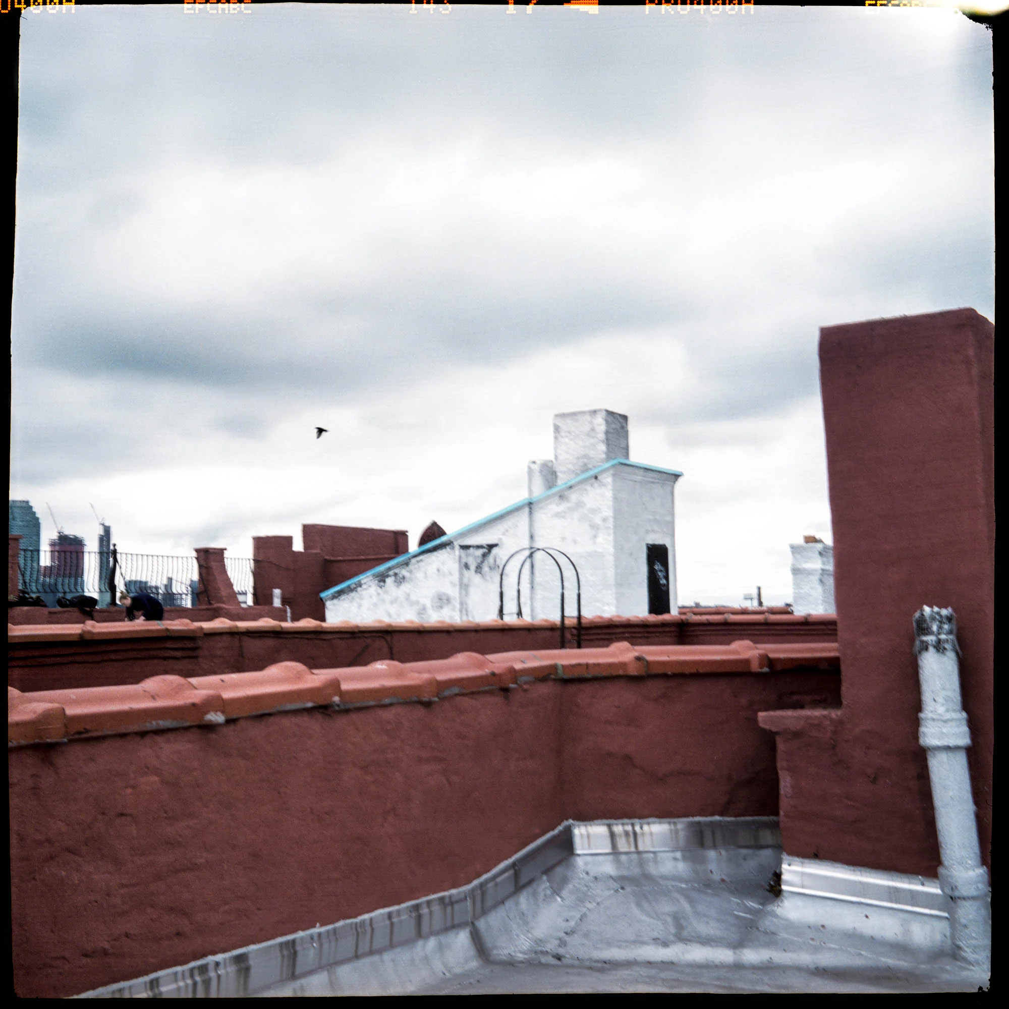 Lucus Landers | Landers B66 brass Camera | Handmade Camera | Fuji Pro 400h | Greenpoint, Brooklyn