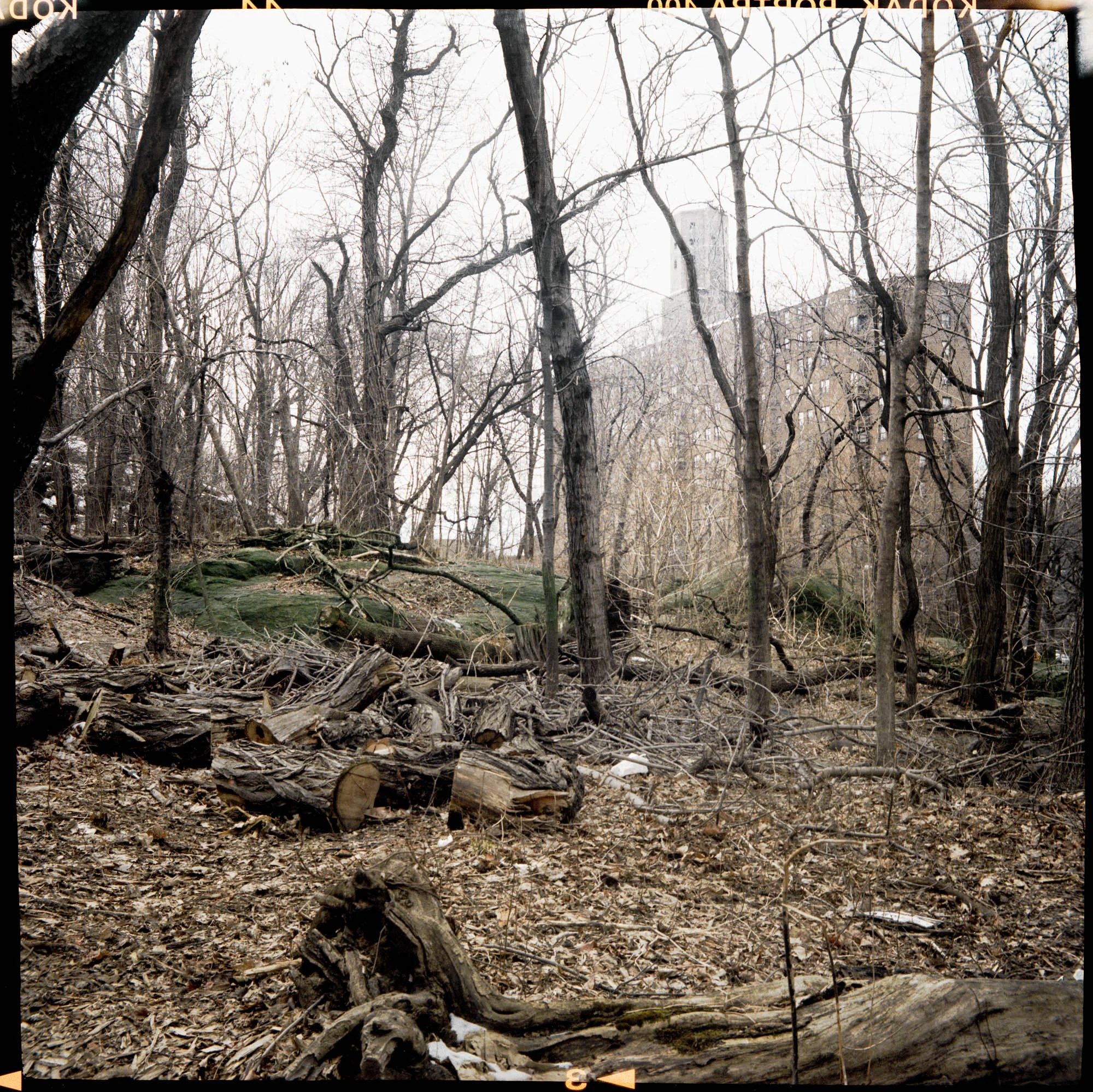 Lucus Landers | Landers B66 brass Camera | Handmade Camera | Portra 400 | Bronx, New York