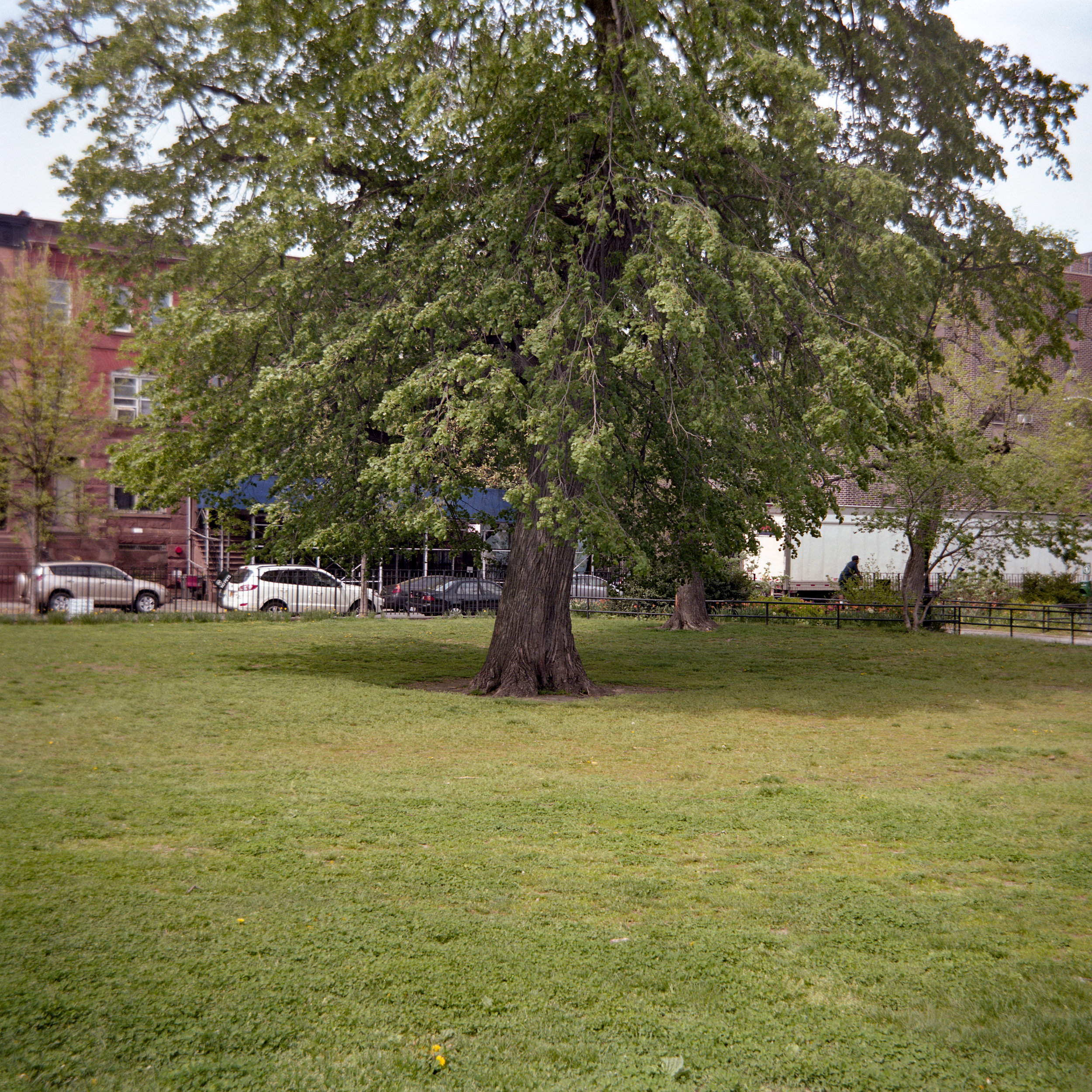 Lucus Landers | Landers AL6 Mrk II Aluminum Camera | Handmade Camera | Portra 160 | 