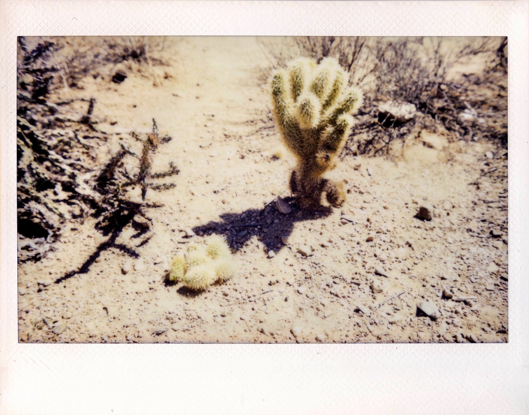 IMG_0049.JPG
