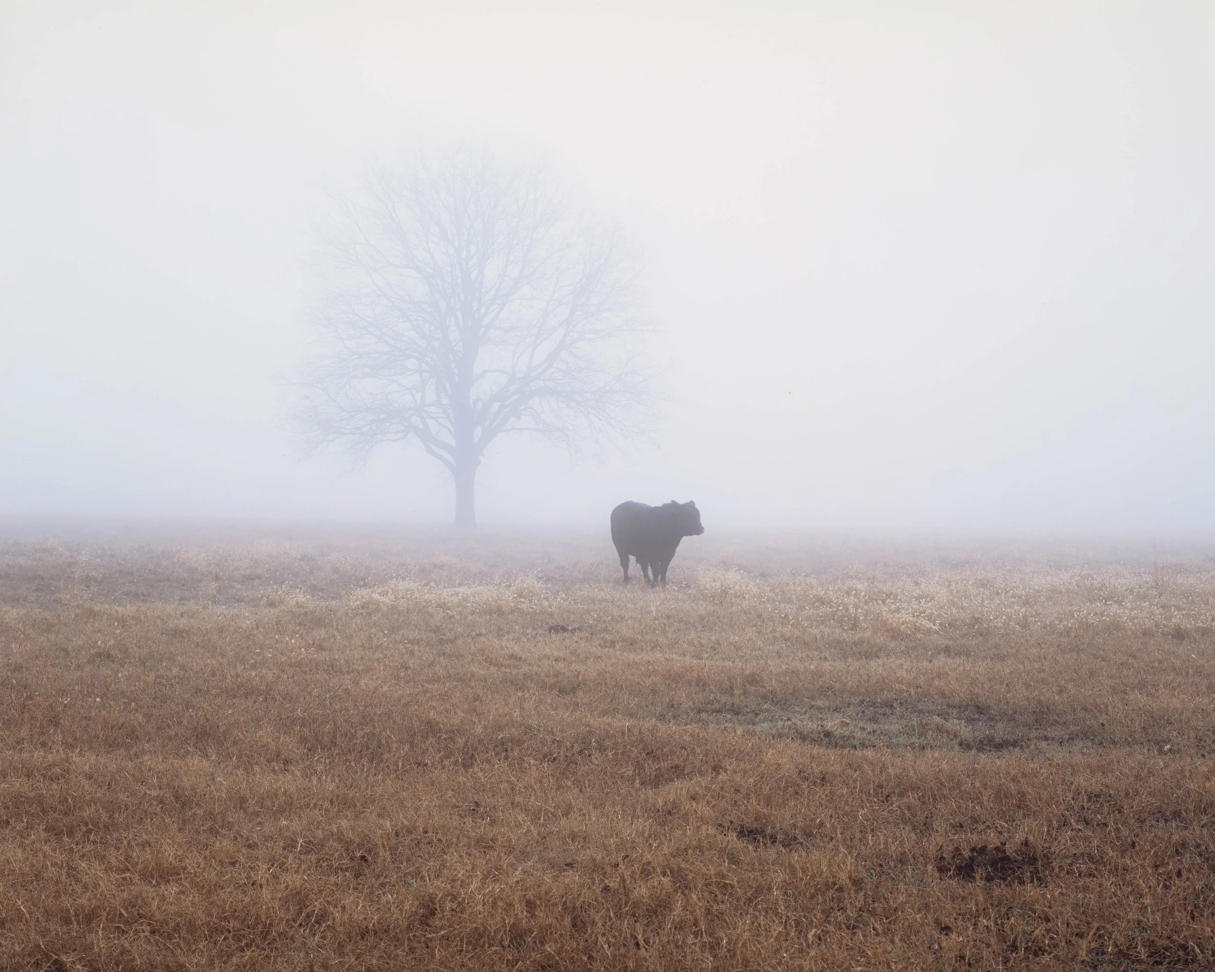 _DSC6457-HDR-Edit.jpg