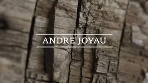 Andre Joyau
