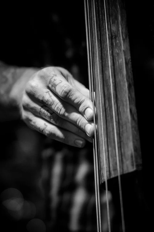 Jon Whittaker Photography