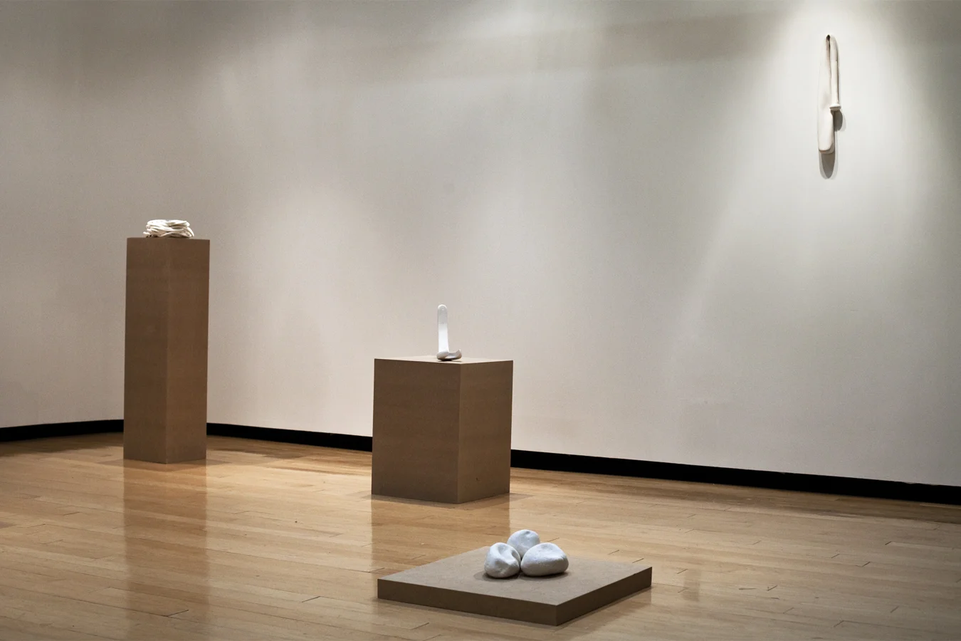 Crimes Against Nature Installation Shot