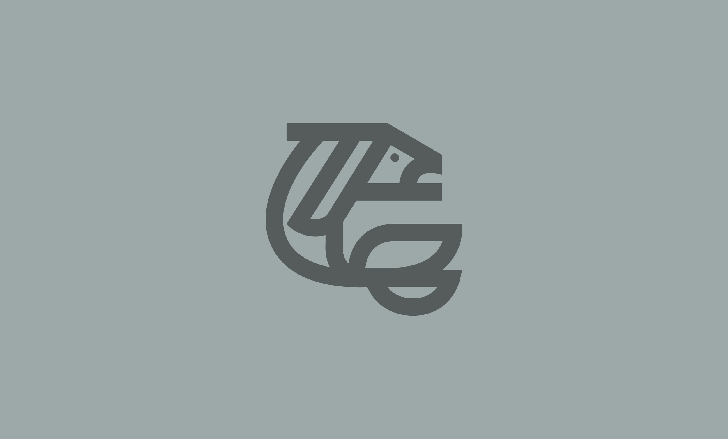 Blog-Nov-Fish.png