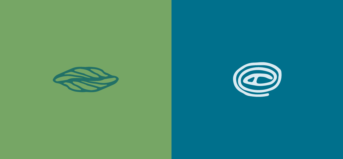 TTMS-Work-43527-TTMS920349022.png