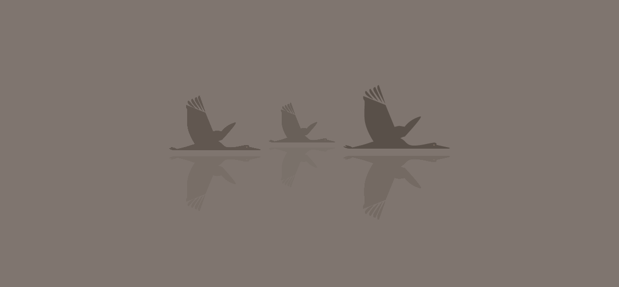 TTMS-Work-43527-TTMS1200912112116.png