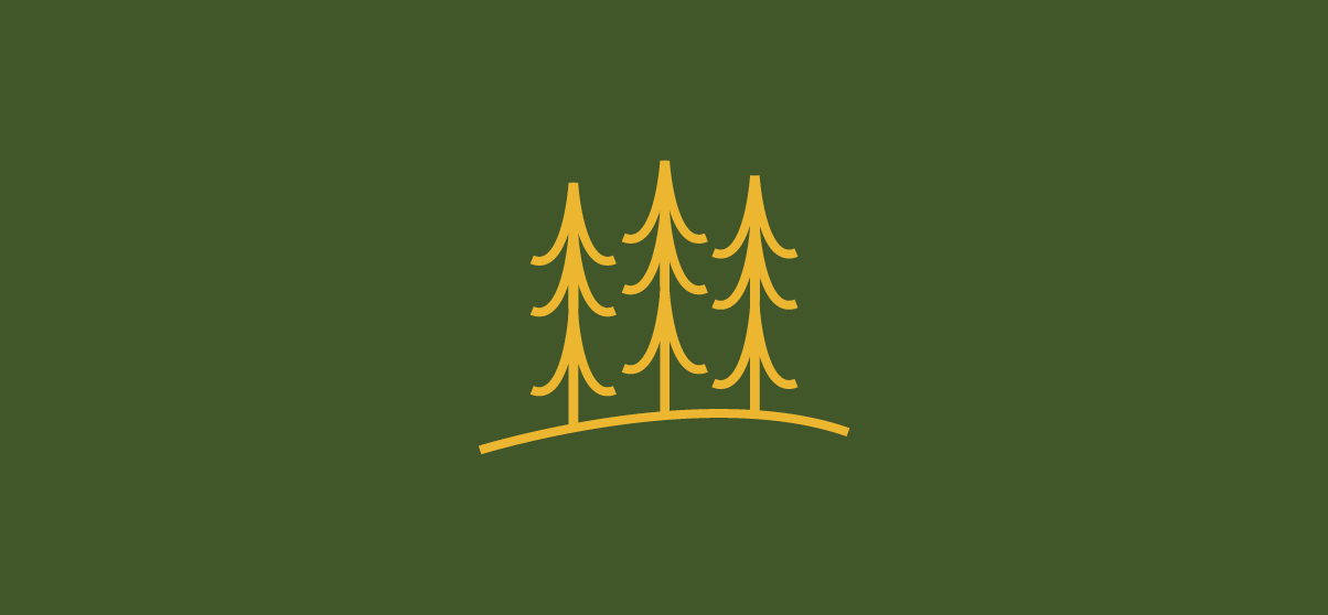 TTMS-Work-41-2022-98234923840923.png