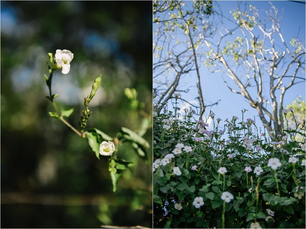 Teodora Dakova Photography-8775_WEB.jpg