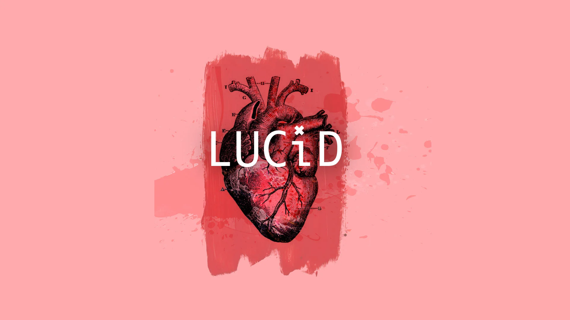 lucid_storyboard00.jpg