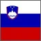 Slovene flag (square).jpg