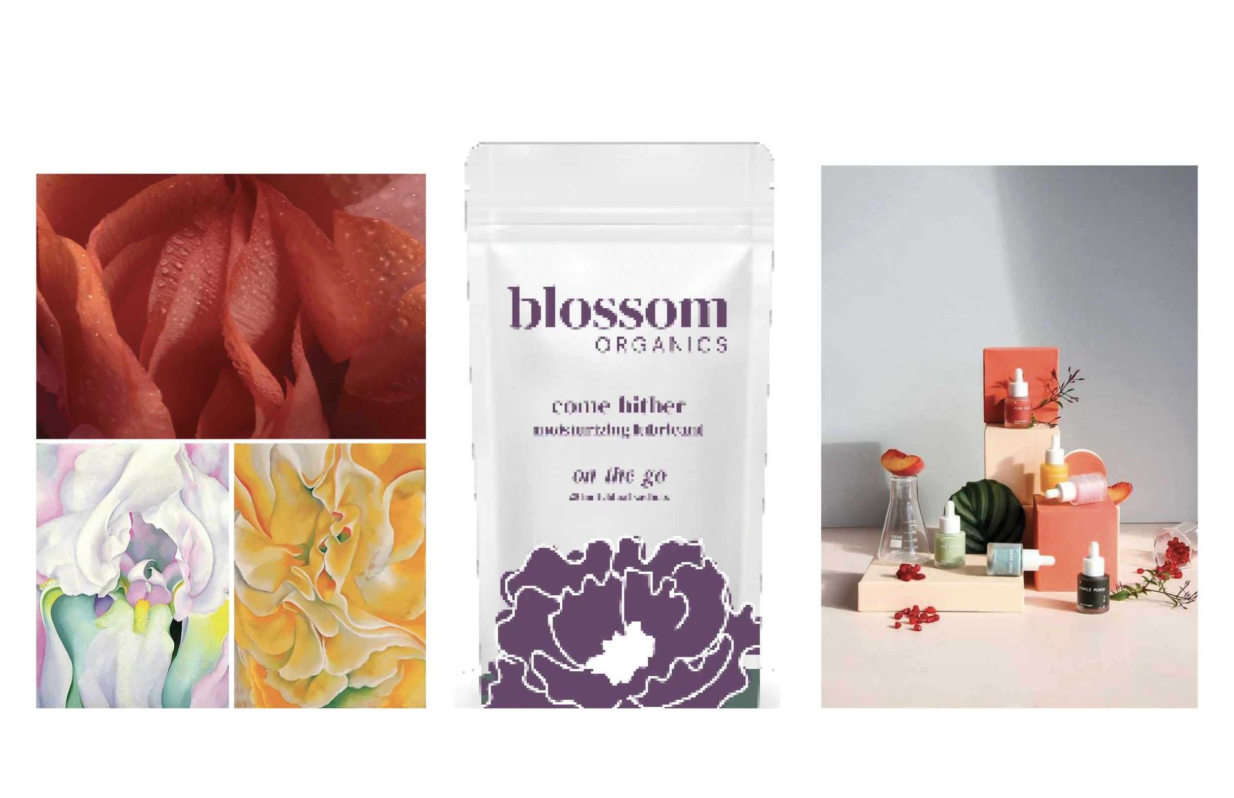 Web_ArtDirection_Blossom2.jpg