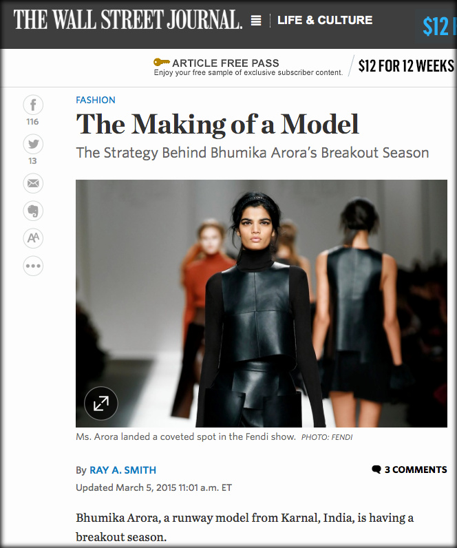 Screen shot from The Wall Street Journal online | WSJ