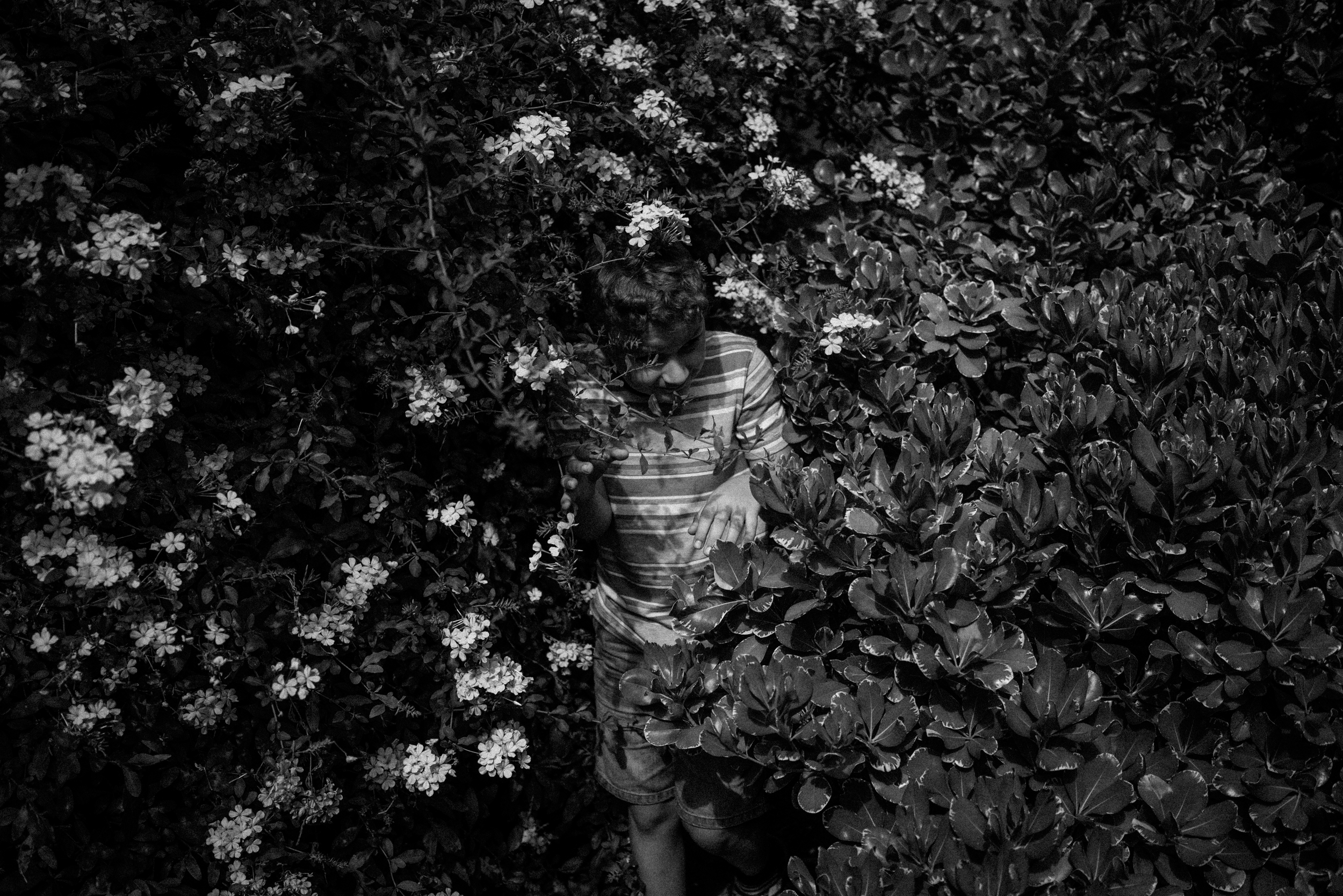¨Primos¨ is a five year old personal project, narrating the one week a year me and my cousins get to grow up together, besides living in different countries. During the summer in Playa Verde, Uruguay. It explores the changes in the relationship, th