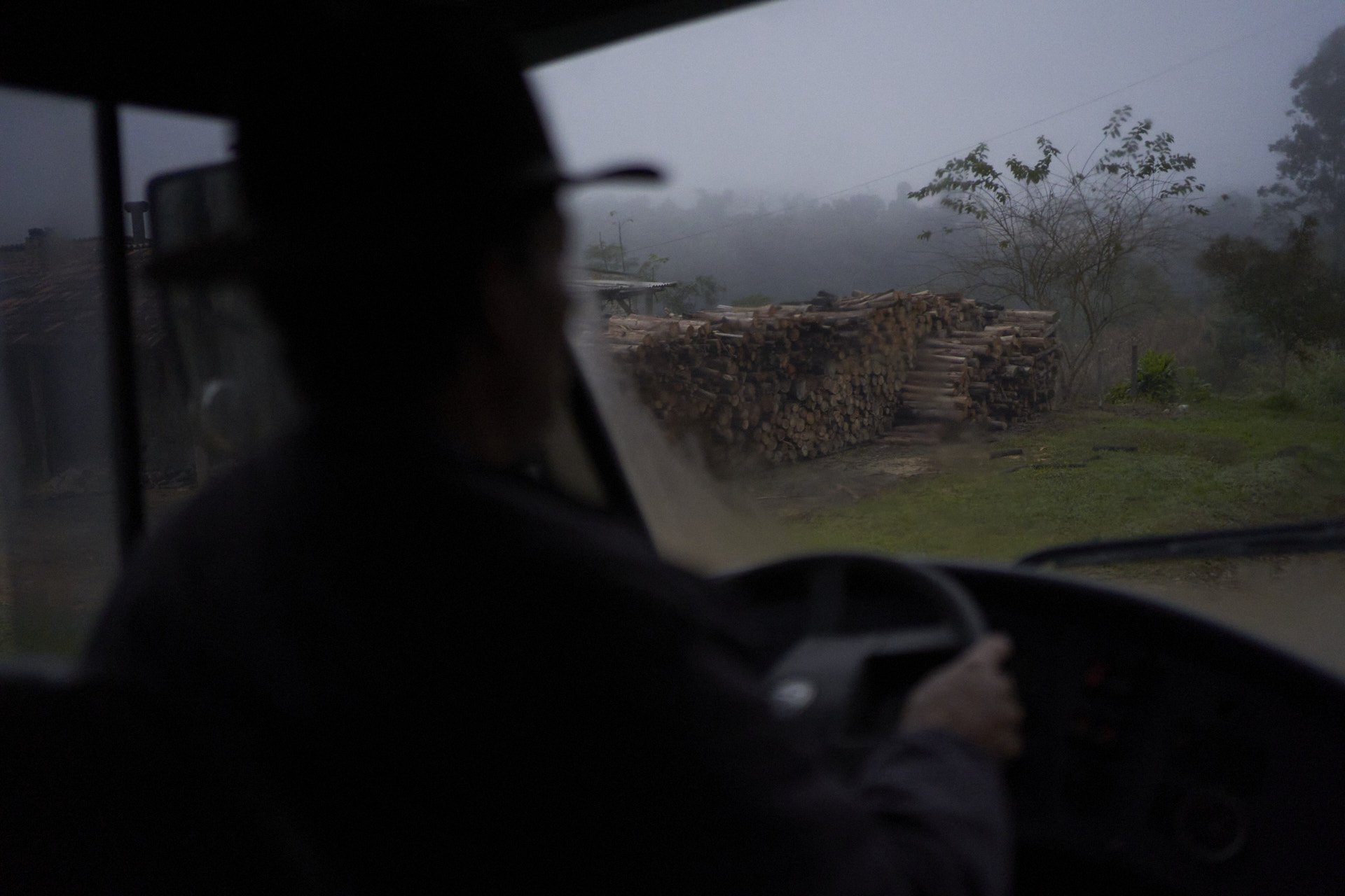 The school bus passes by colonized land, where illegal logging takes place.