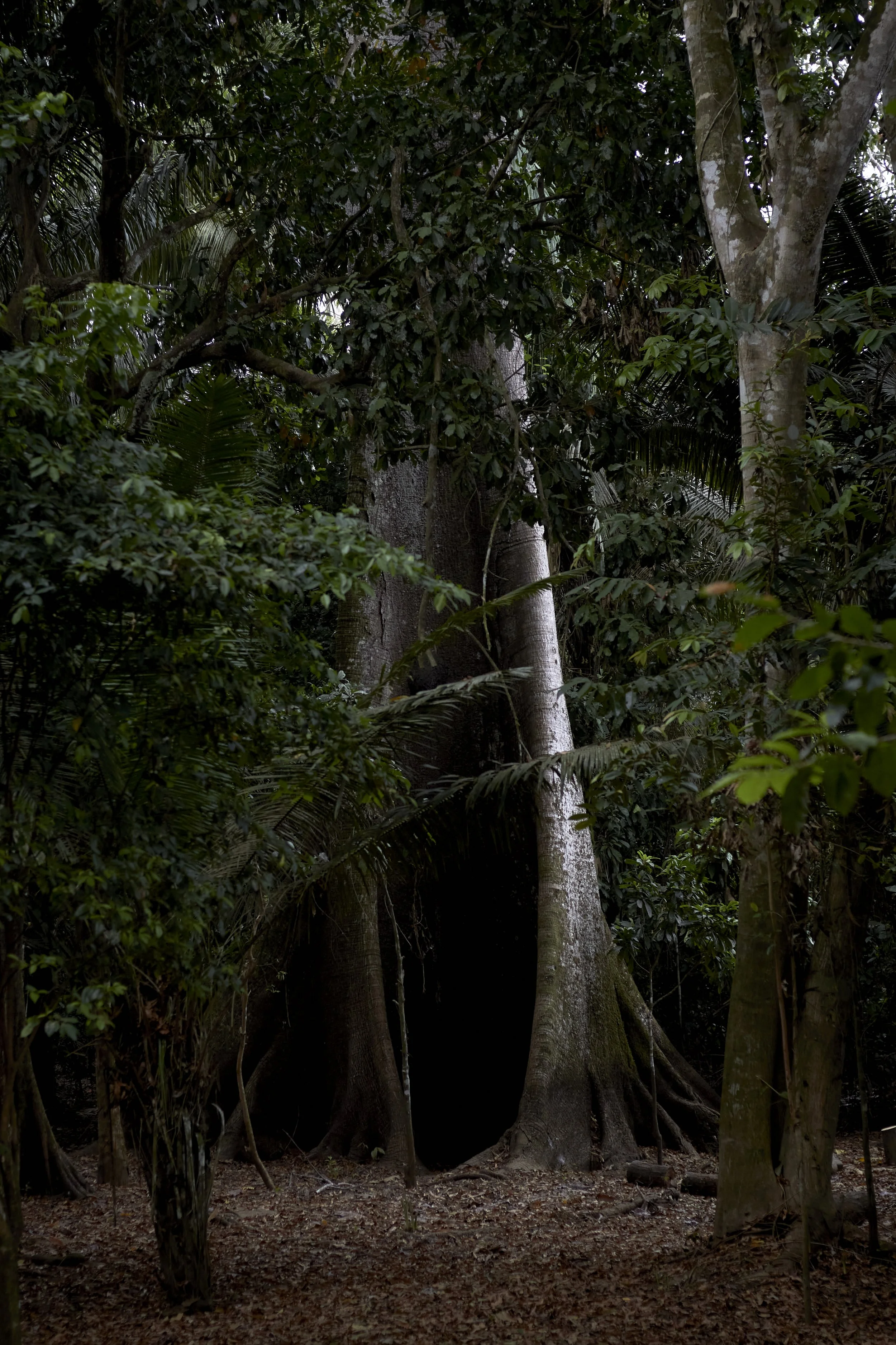   “There are mysterious things in the river, things that are real, but not everyone can see them”   Francineide Ferreira dos Santos 